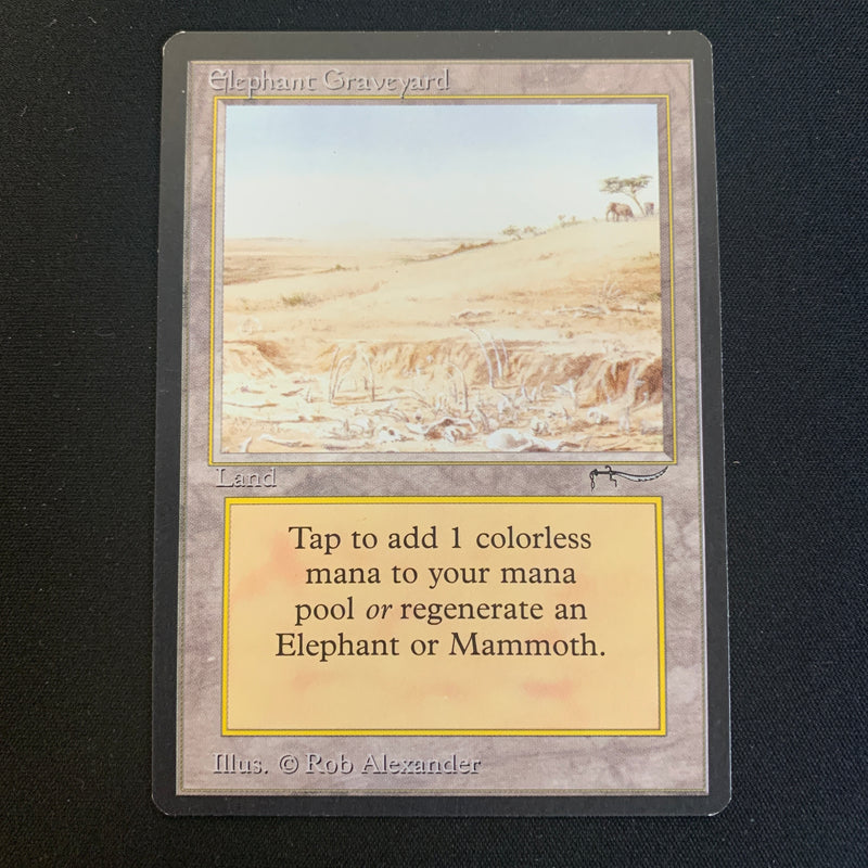 Elephant Graveyard Arabian Nights Magic: The Gathering