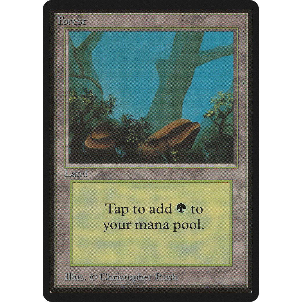 MTG Singles - Forest (V.1) - Beta - NM