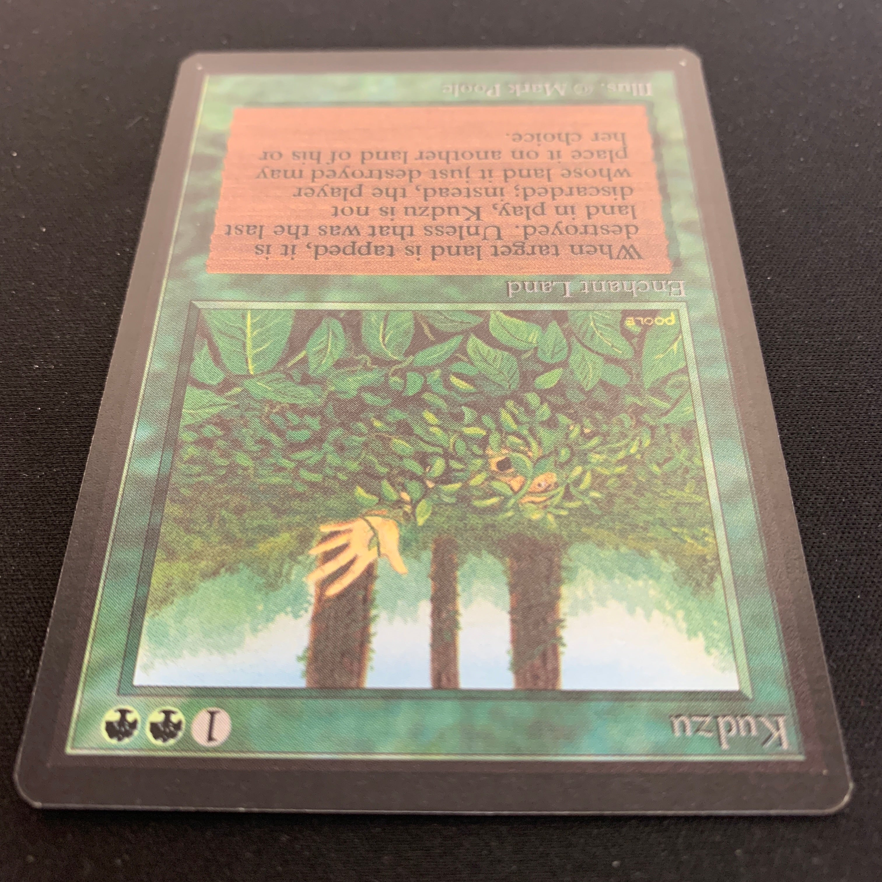 MTG Singles - Kudzu - Beta - 