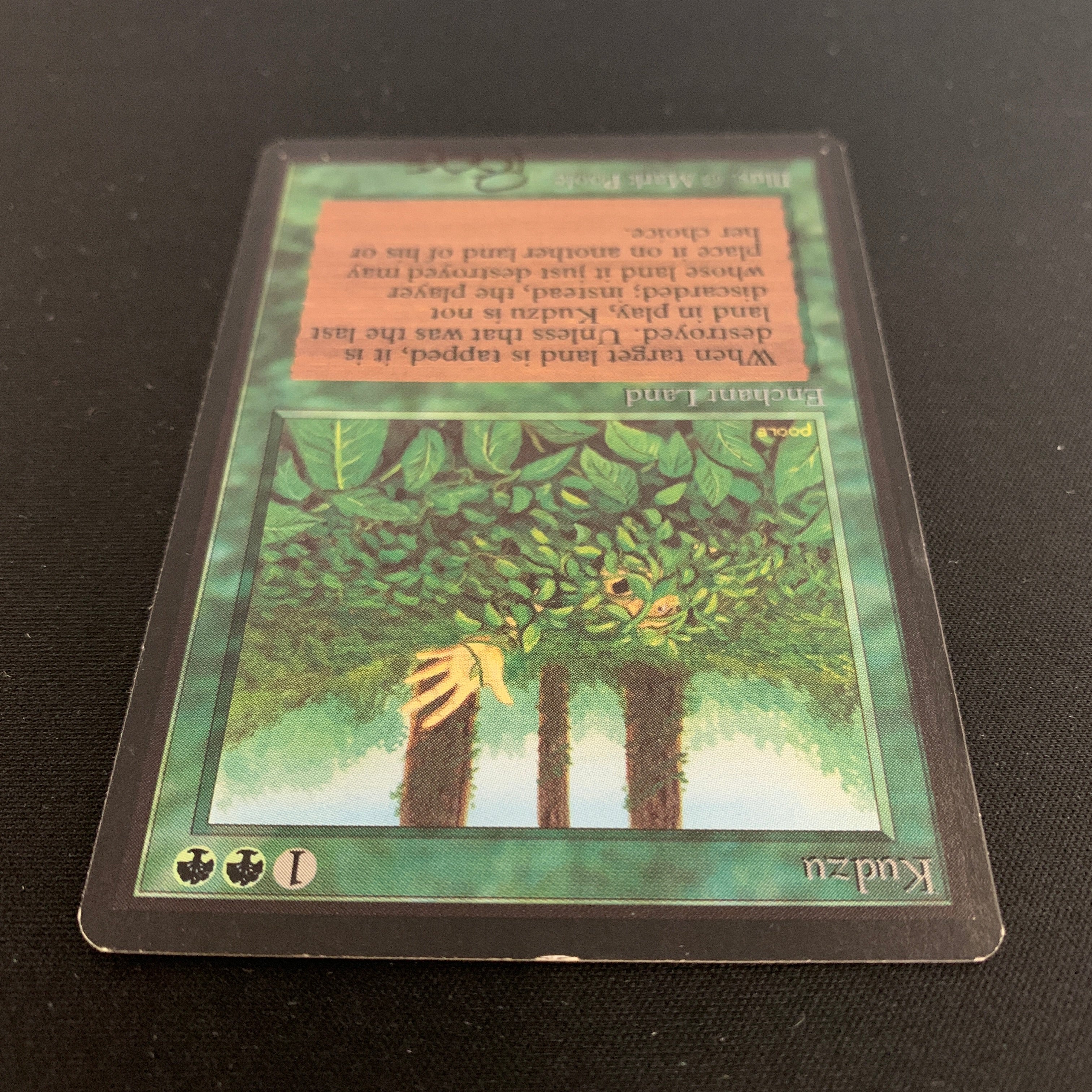 MTG Singles - Kudzu - Beta - 