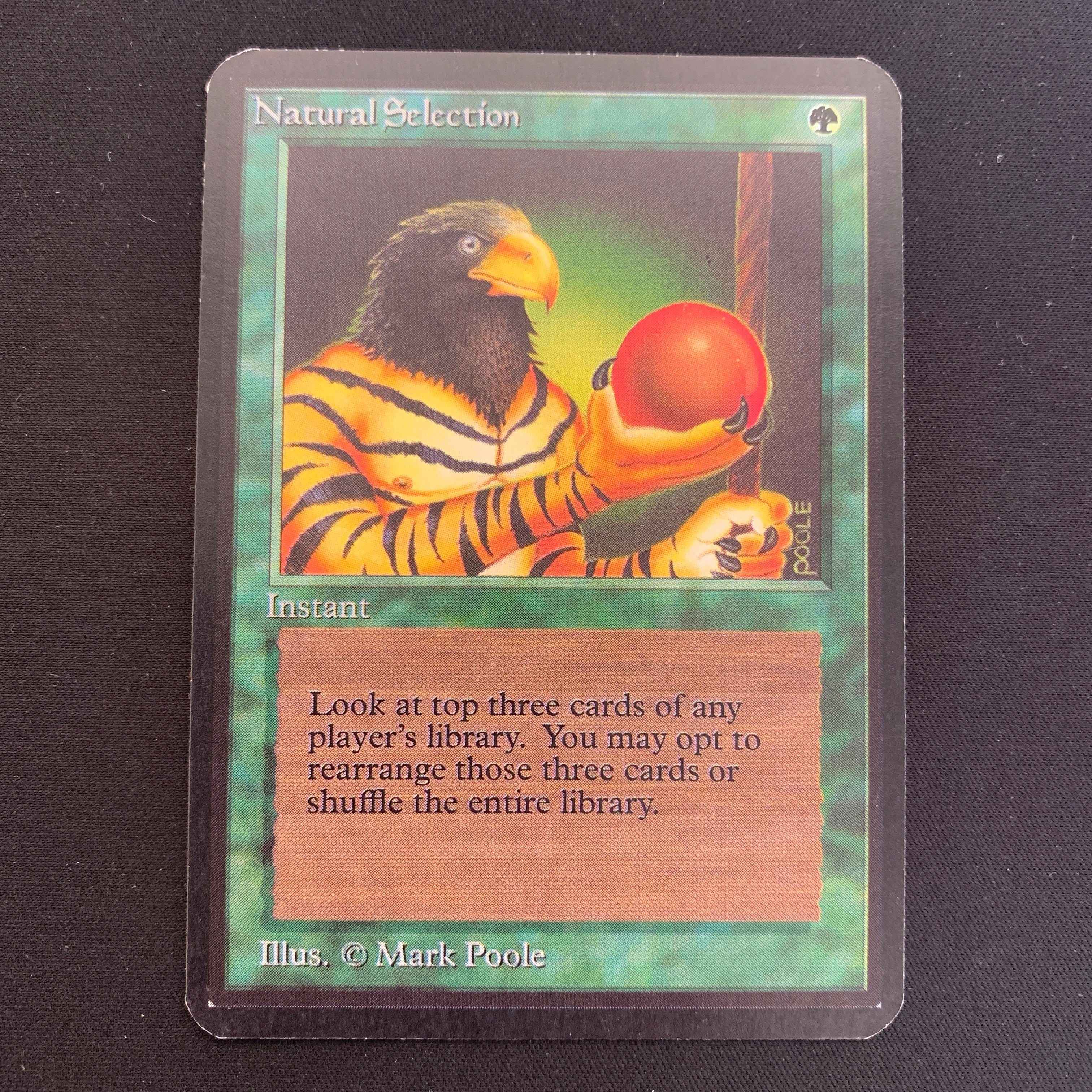 MTG Singles - Natural Selection - Alpha - 