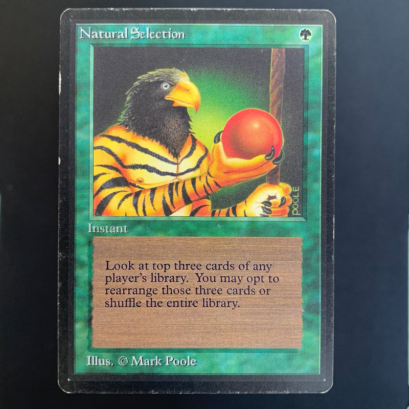 Magic the Gathering Natural Selection - Beta 