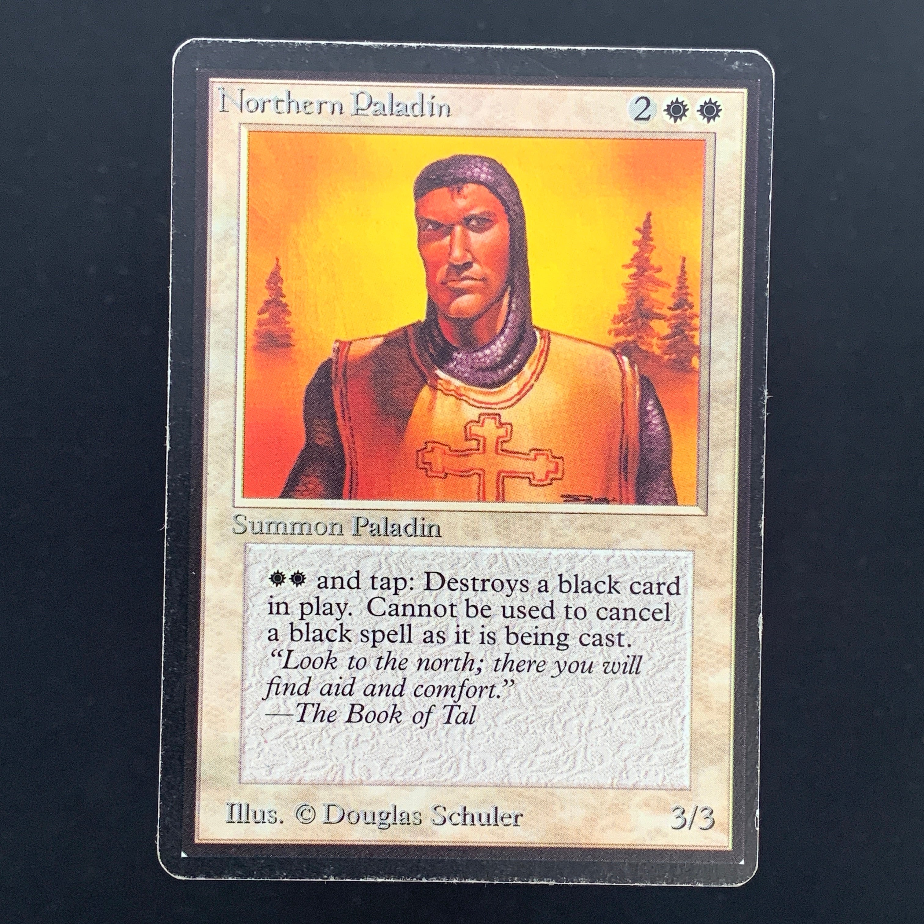 MTG Singles - Northern Paladin - Beta - 