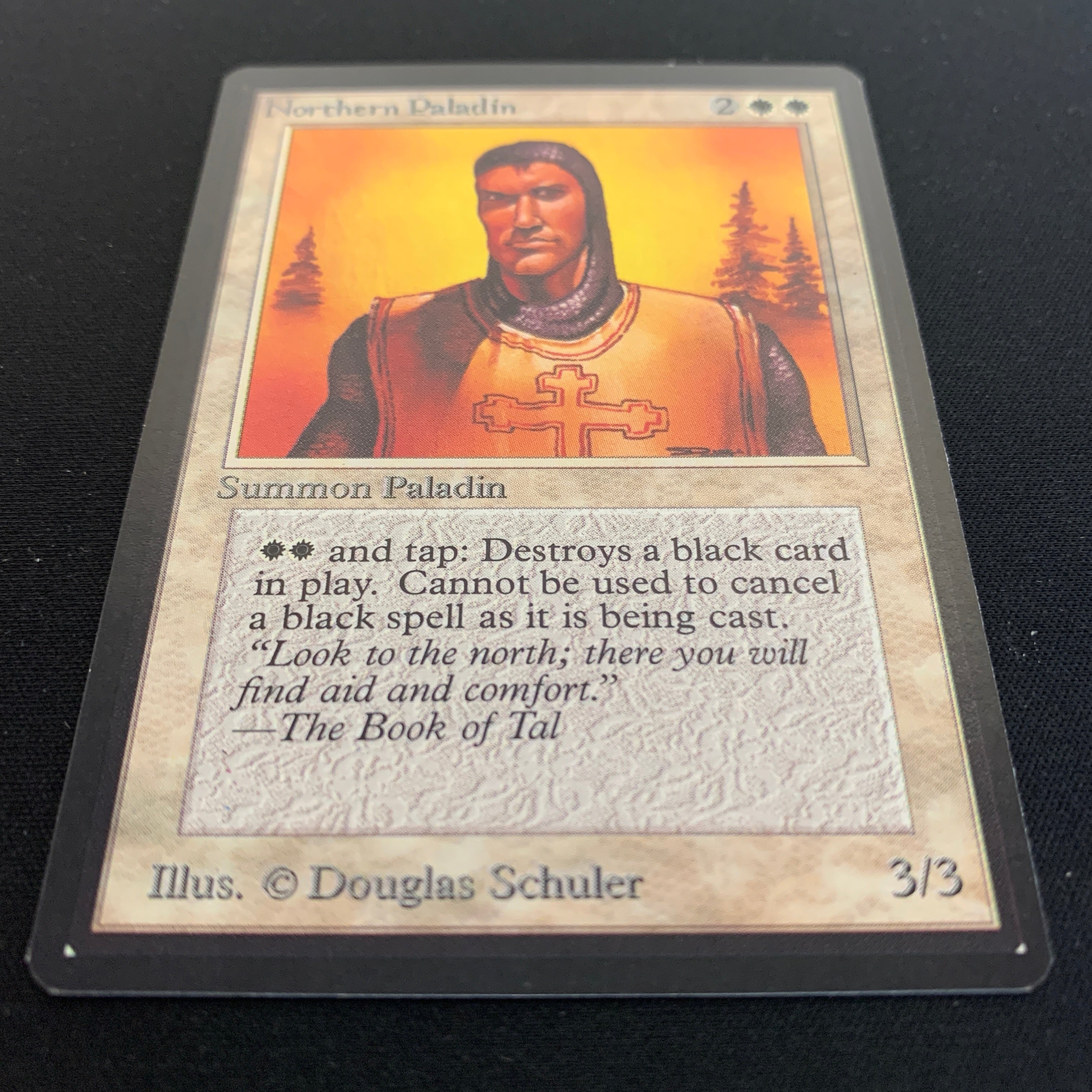 MTG Singles - Northern Paladin - Beta - 