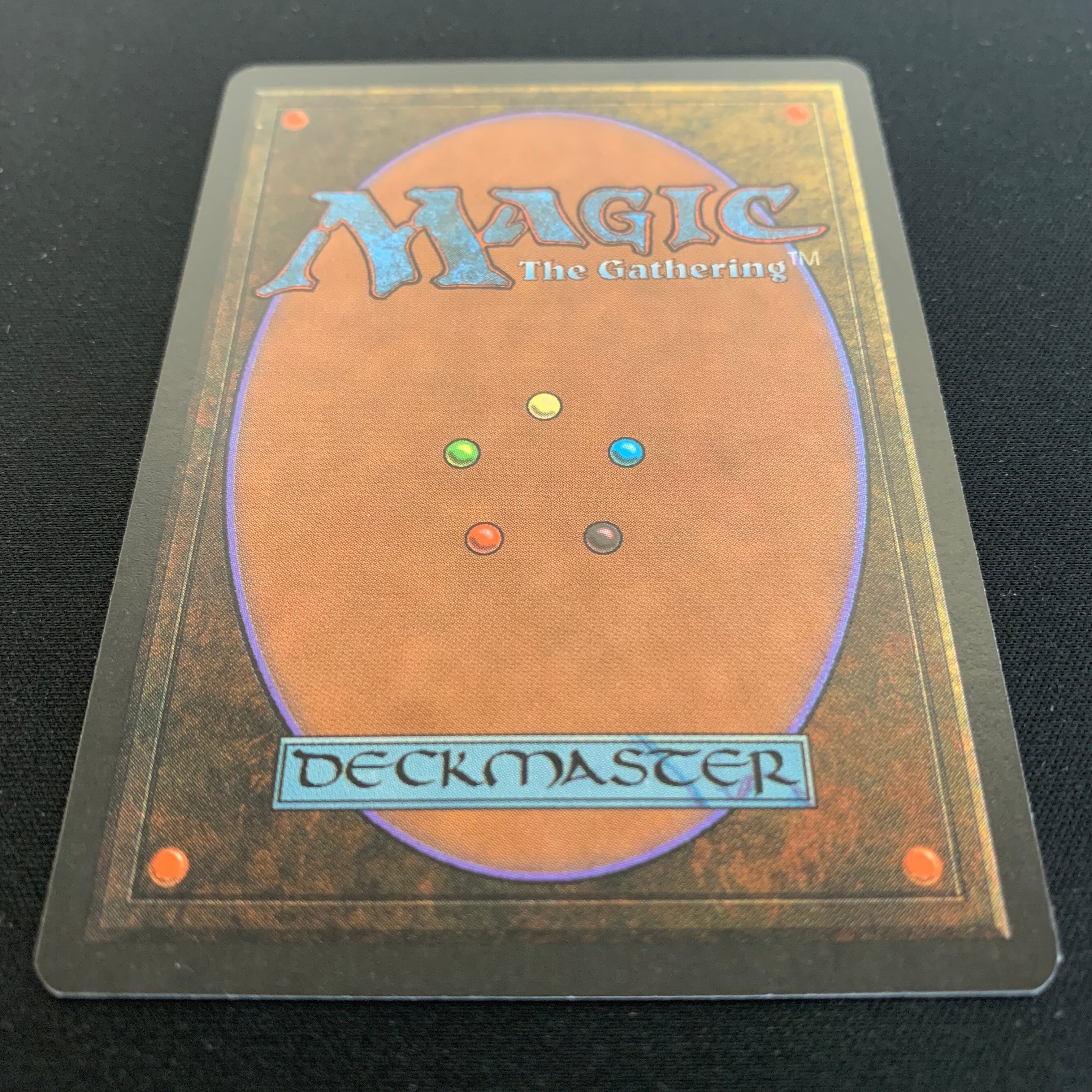 MTG Singles - Northern Paladin - Beta - 