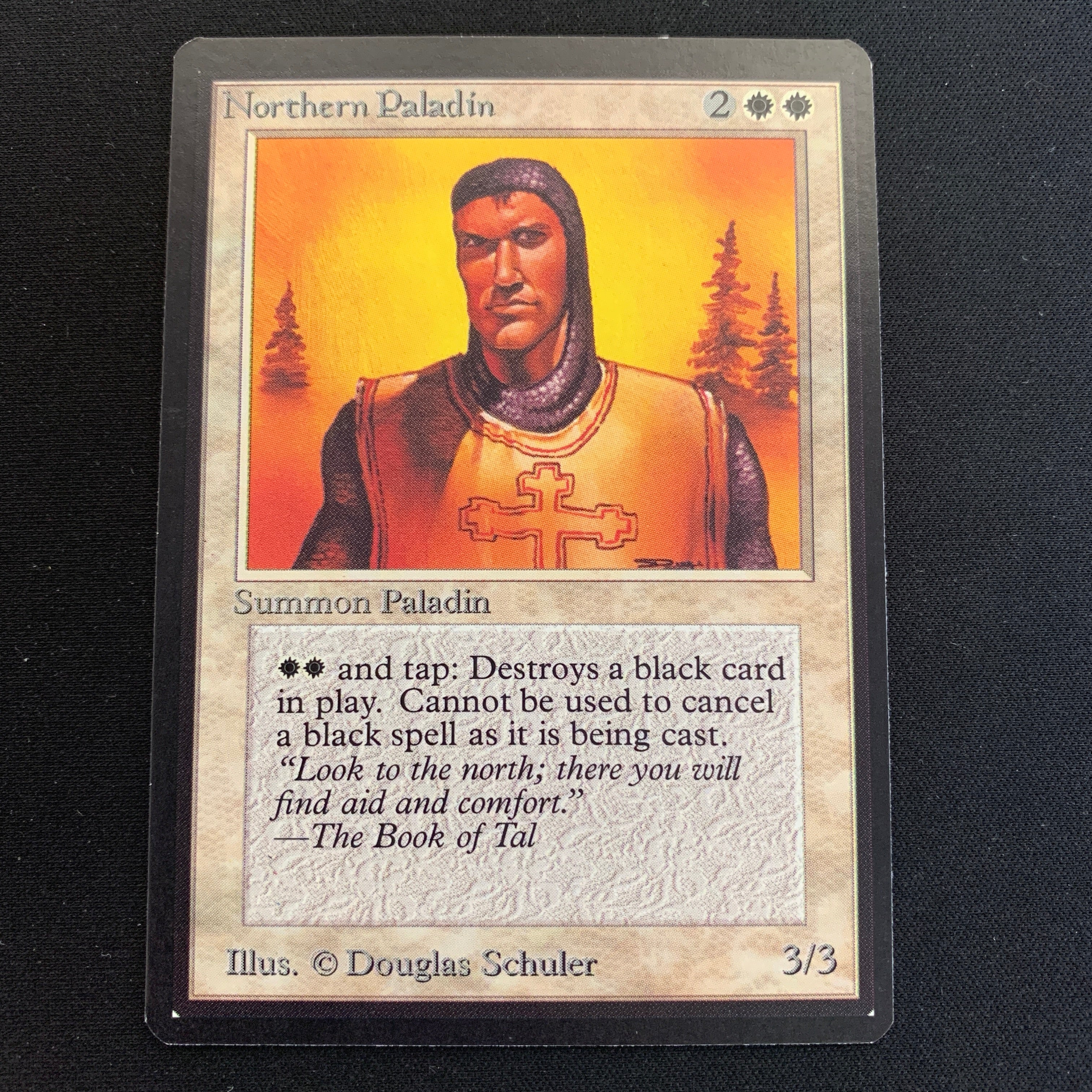 MTG Singles - Northern Paladin - Beta - 