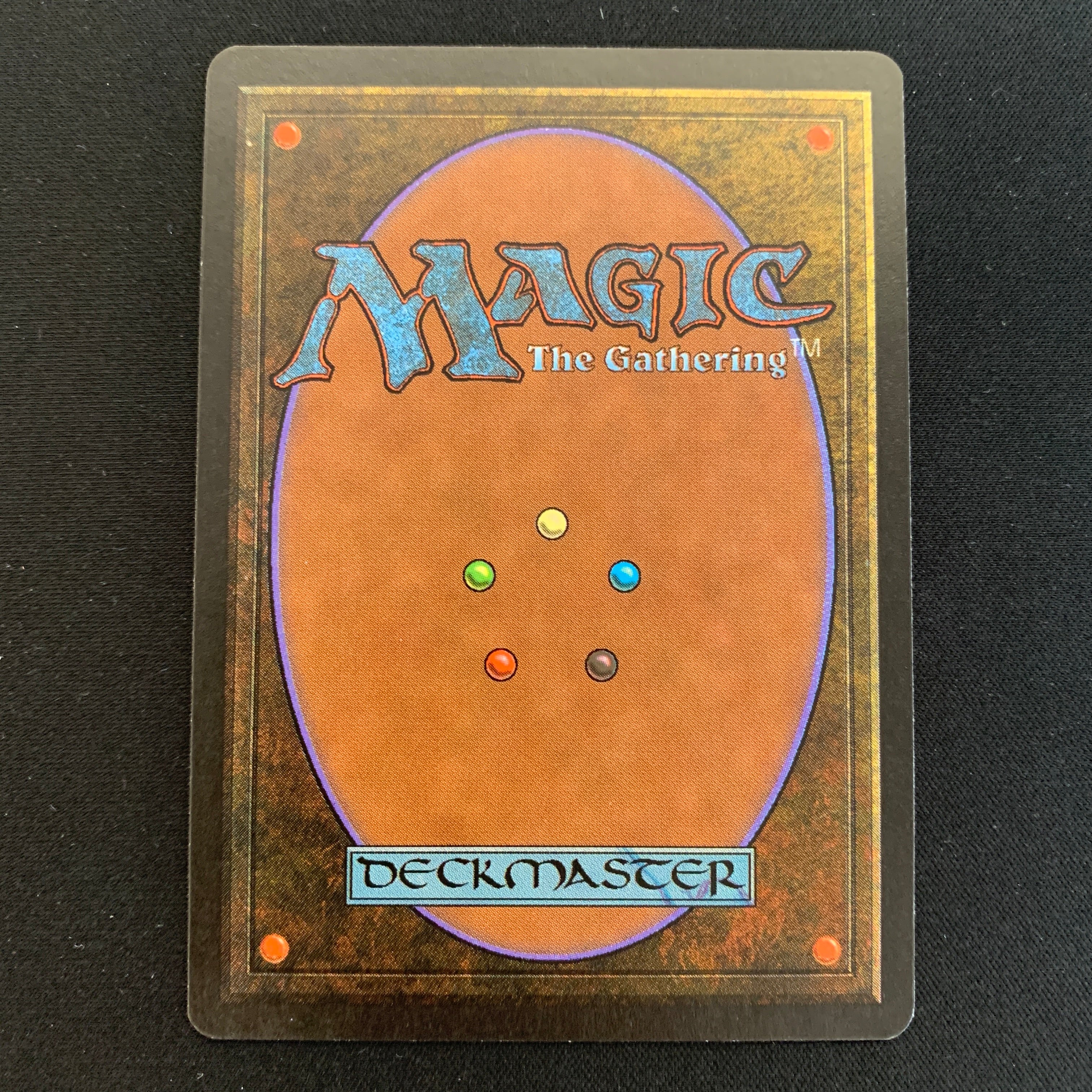 MTG Singles - Northern Paladin - Beta - 