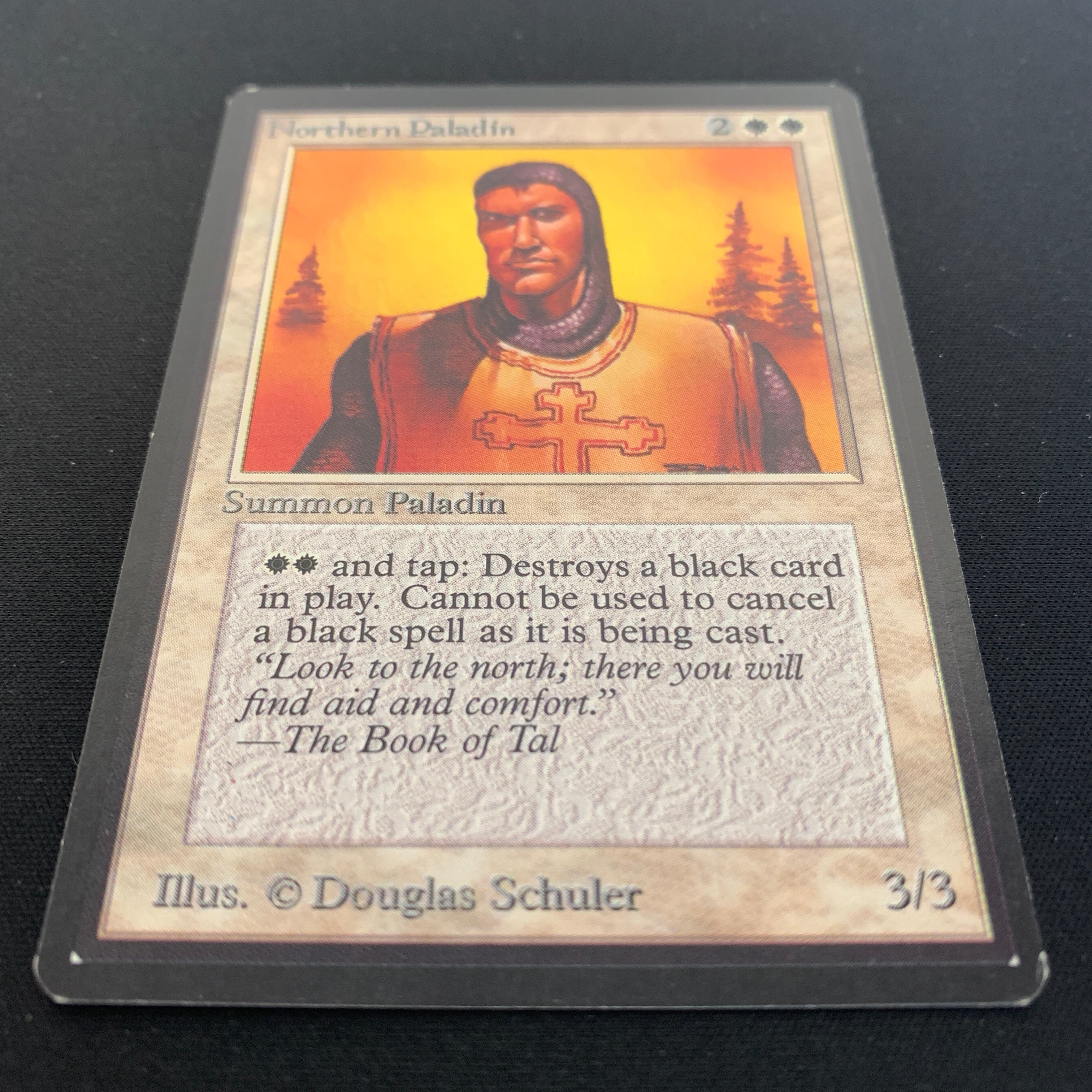MTG Singles - Northern Paladin - Beta - 