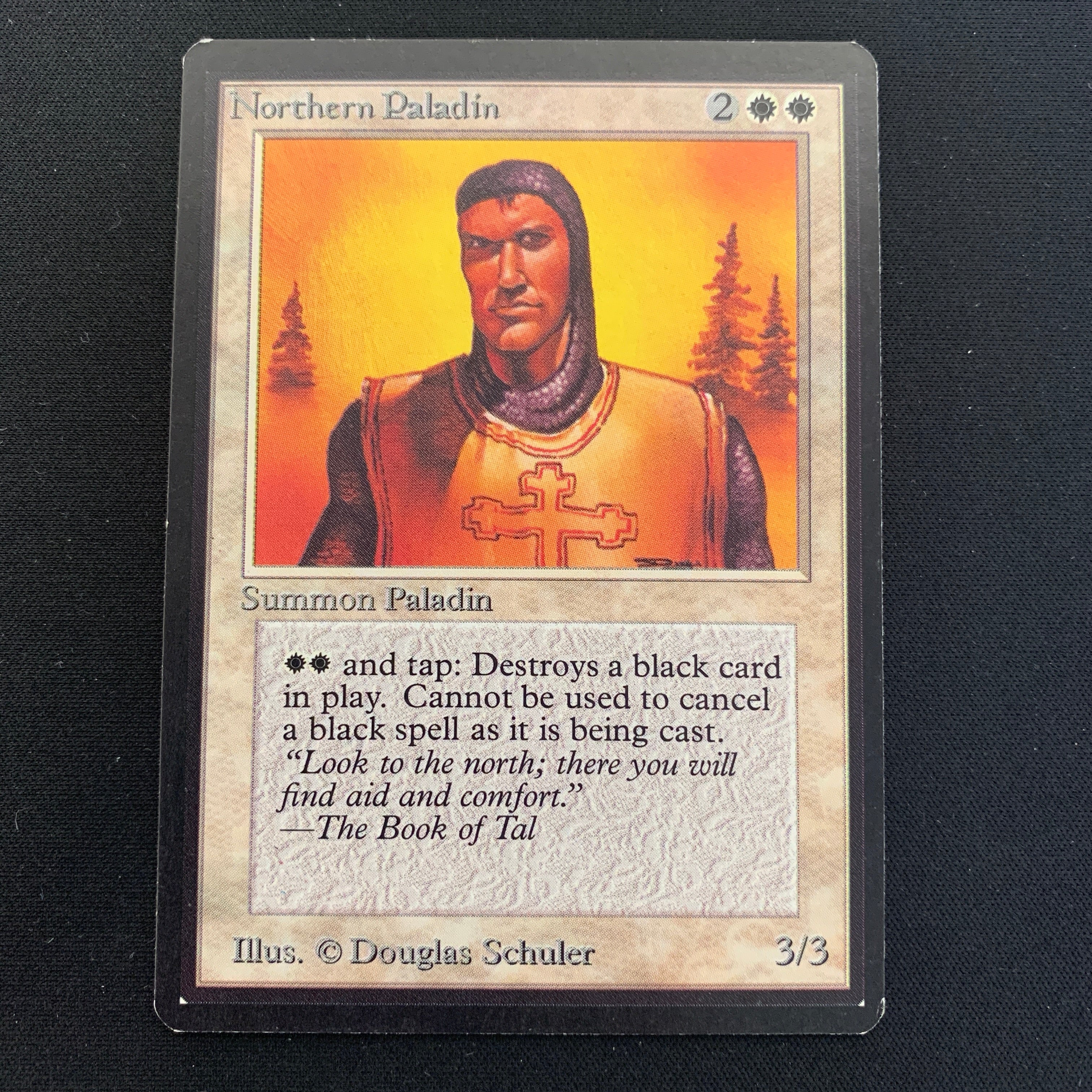 MTG Singles - Northern Paladin - Beta - 