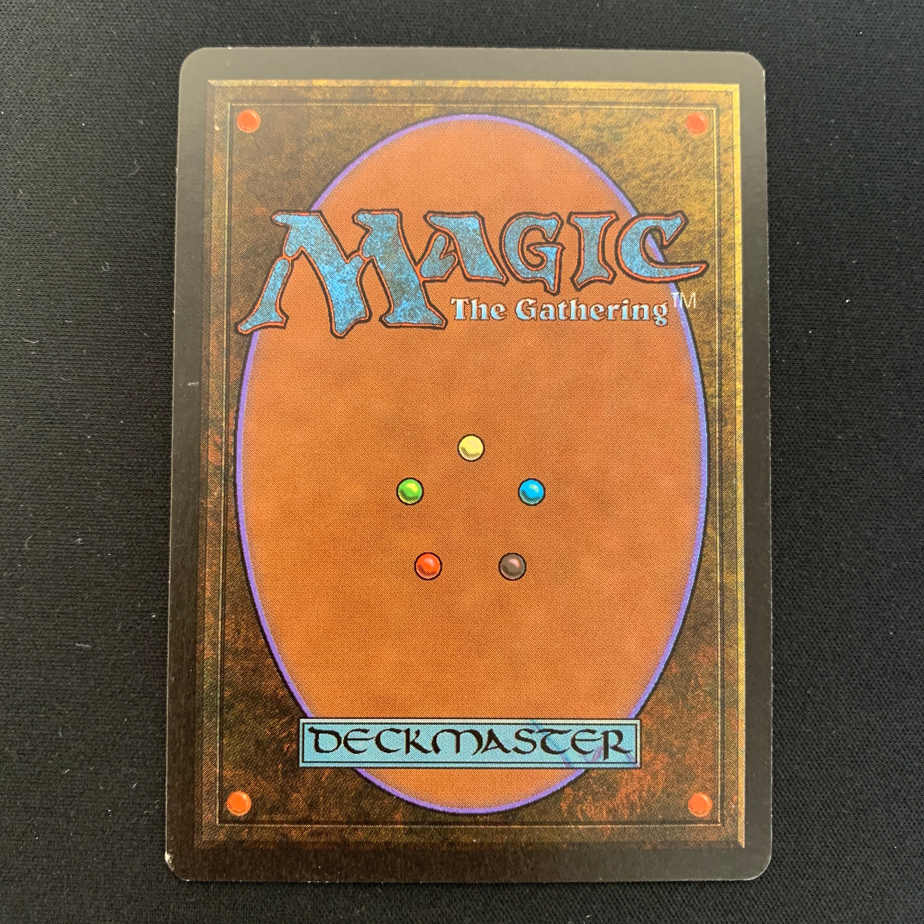 MTG Singles - Northern Paladin - Beta - 