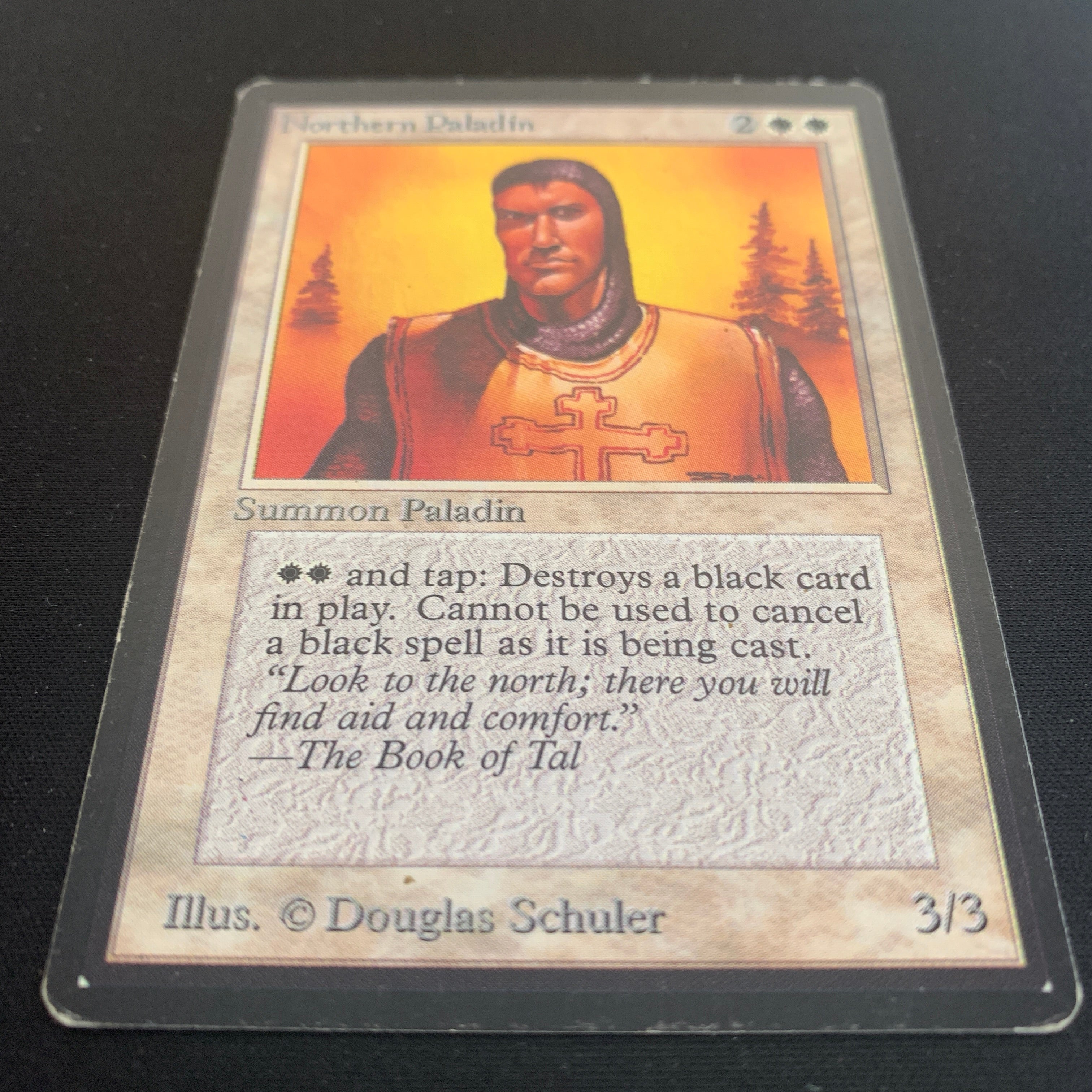 MTG Singles - Northern Paladin - Beta - 