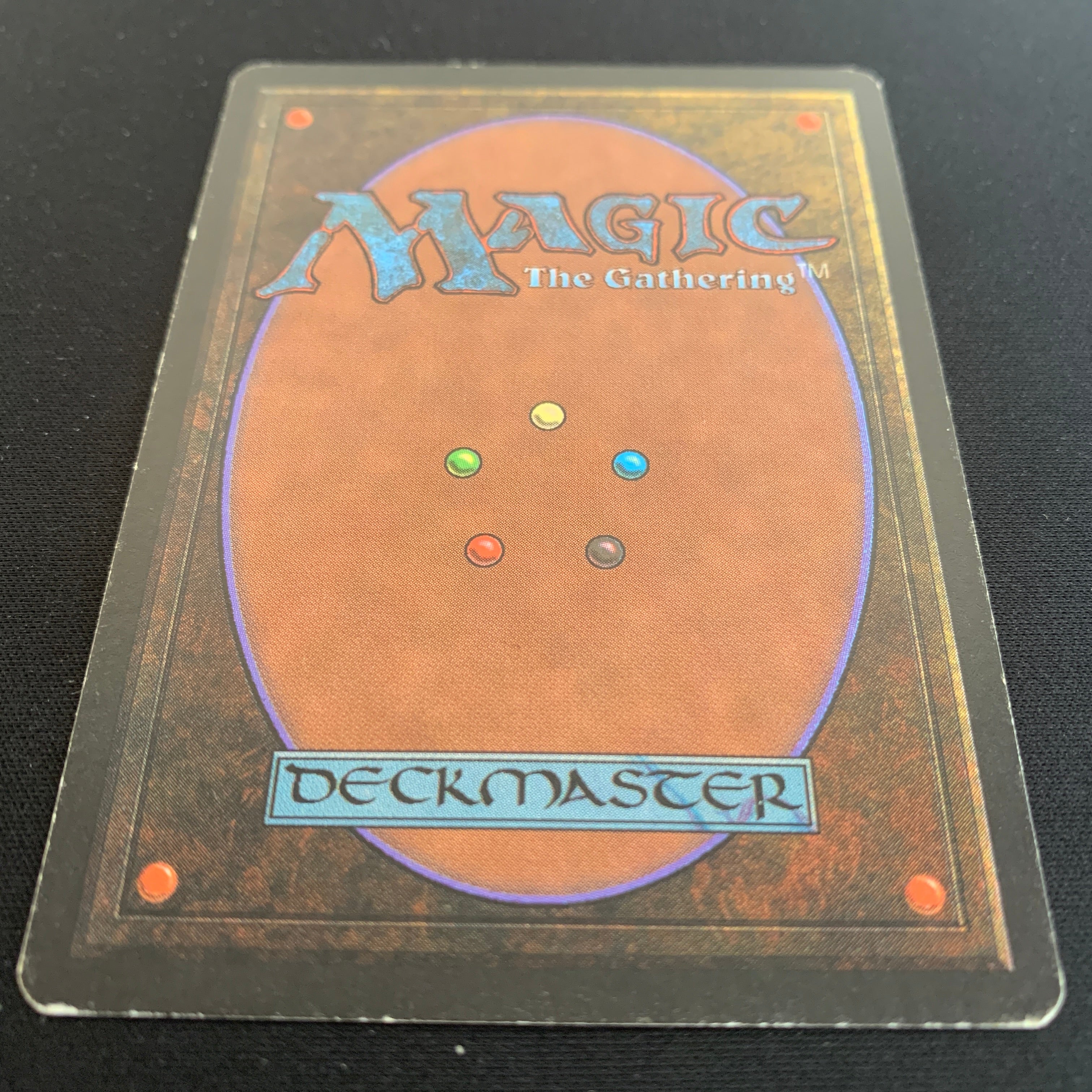 MTG Singles - Northern Paladin - Beta - 
