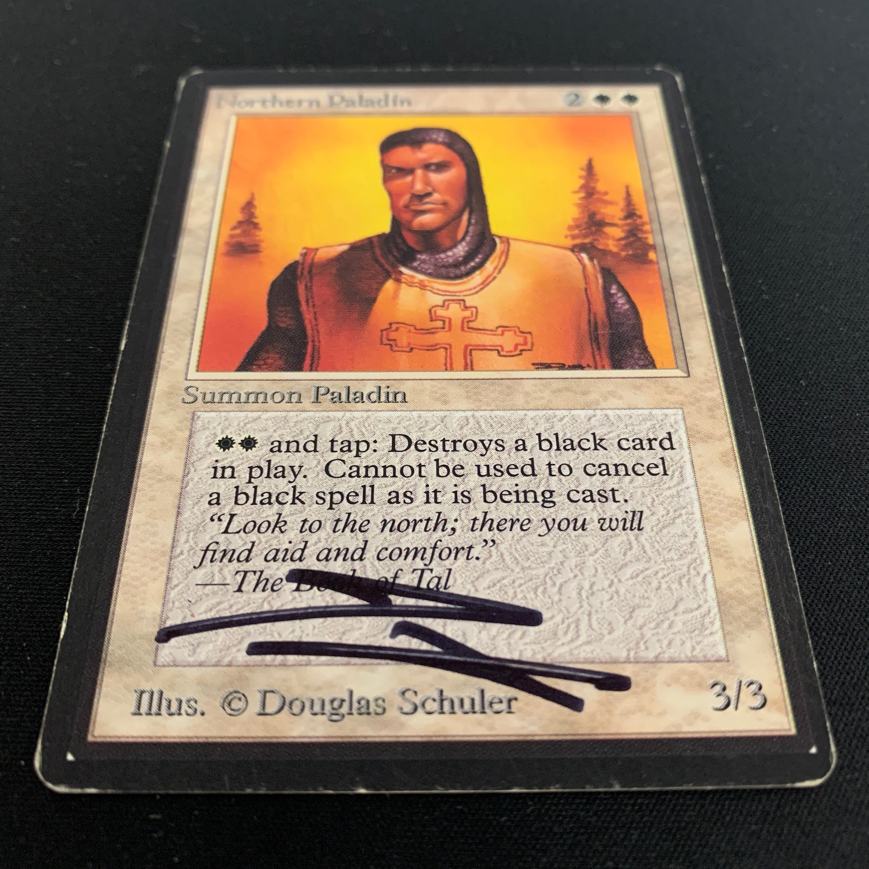MTG Singles - Northern Paladin - Beta - 