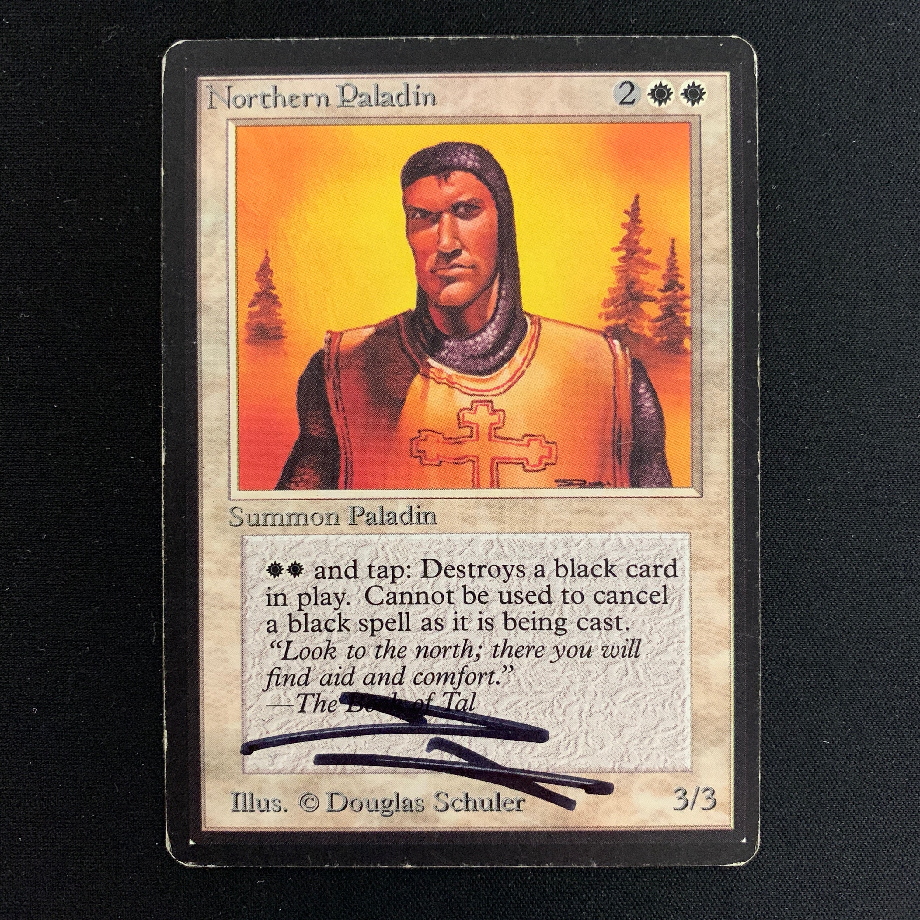 MTG Singles - Northern Paladin - Beta - 