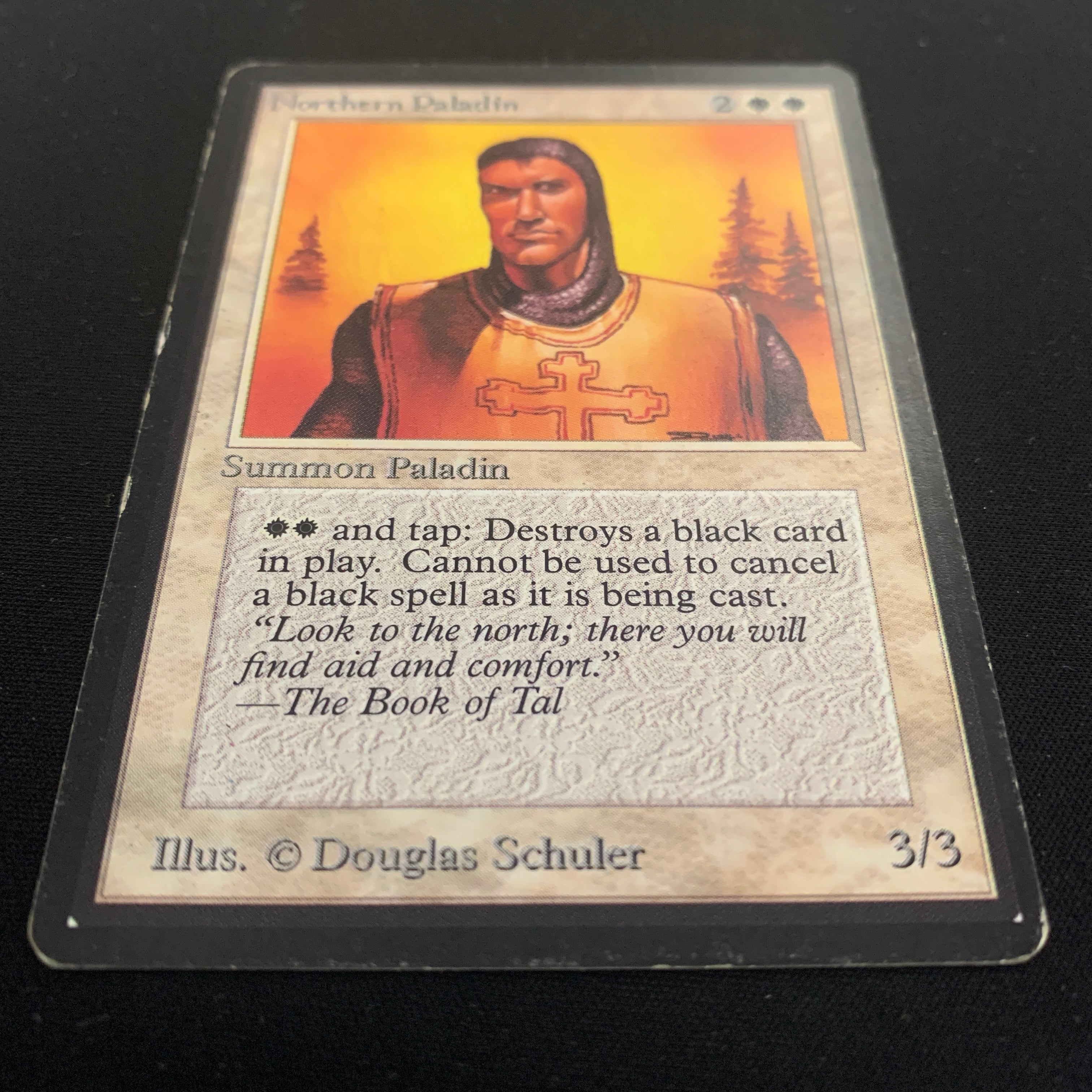 MTG Singles - Northern Paladin - Beta - 
