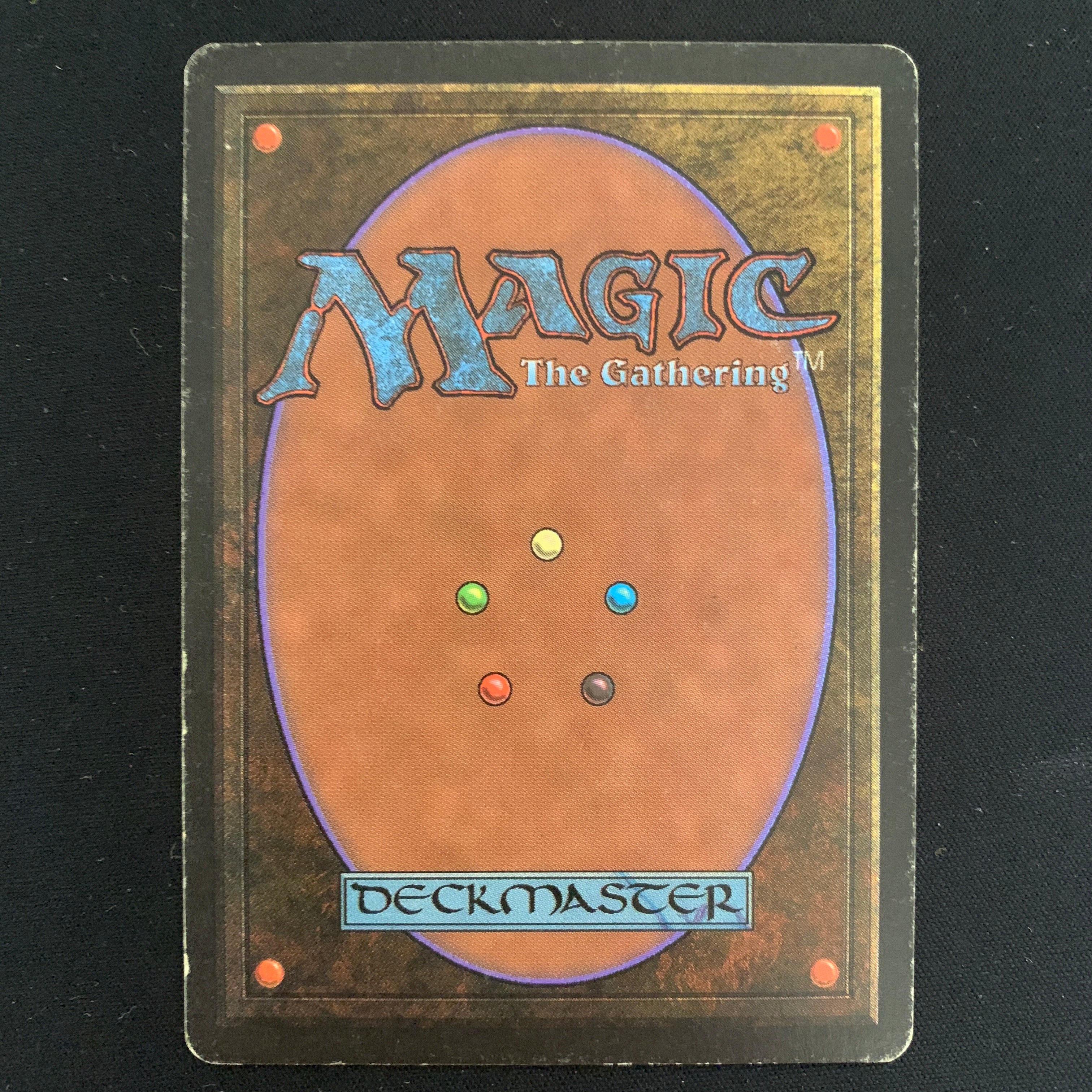 MTG Singles - Northern Paladin - Beta - 