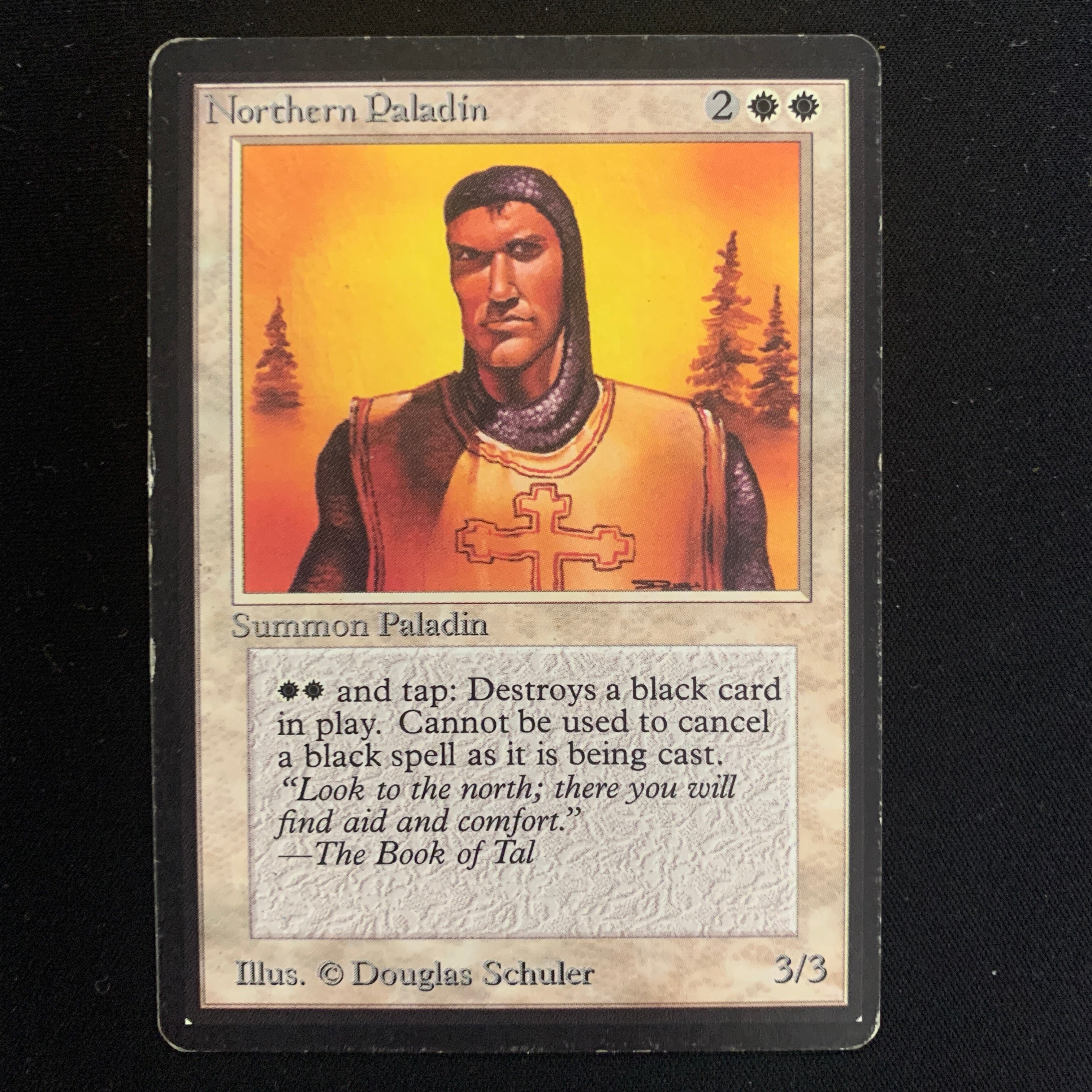 MTG Singles - Northern Paladin - Beta - 