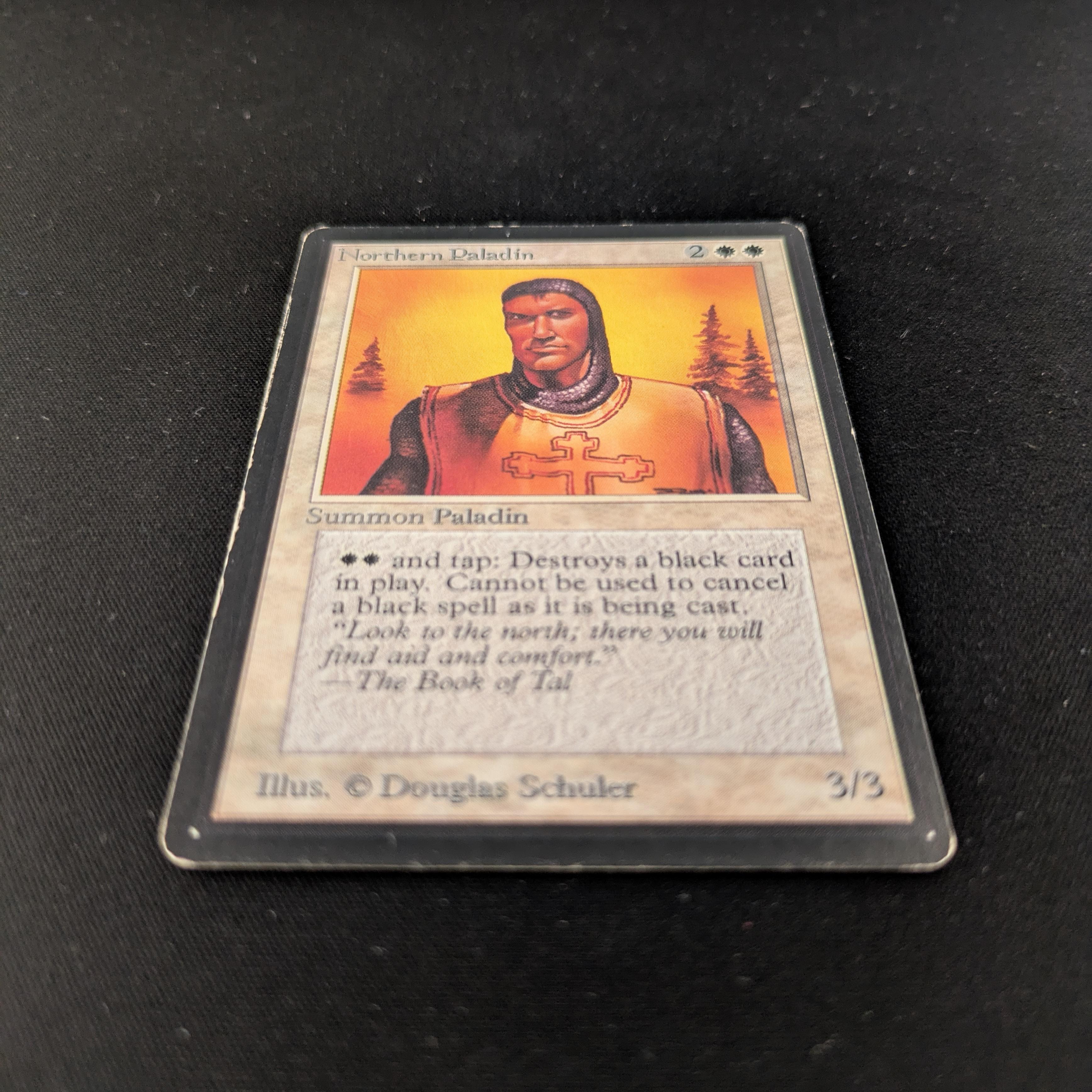 MTG Singles - Northern Paladin - Beta - 