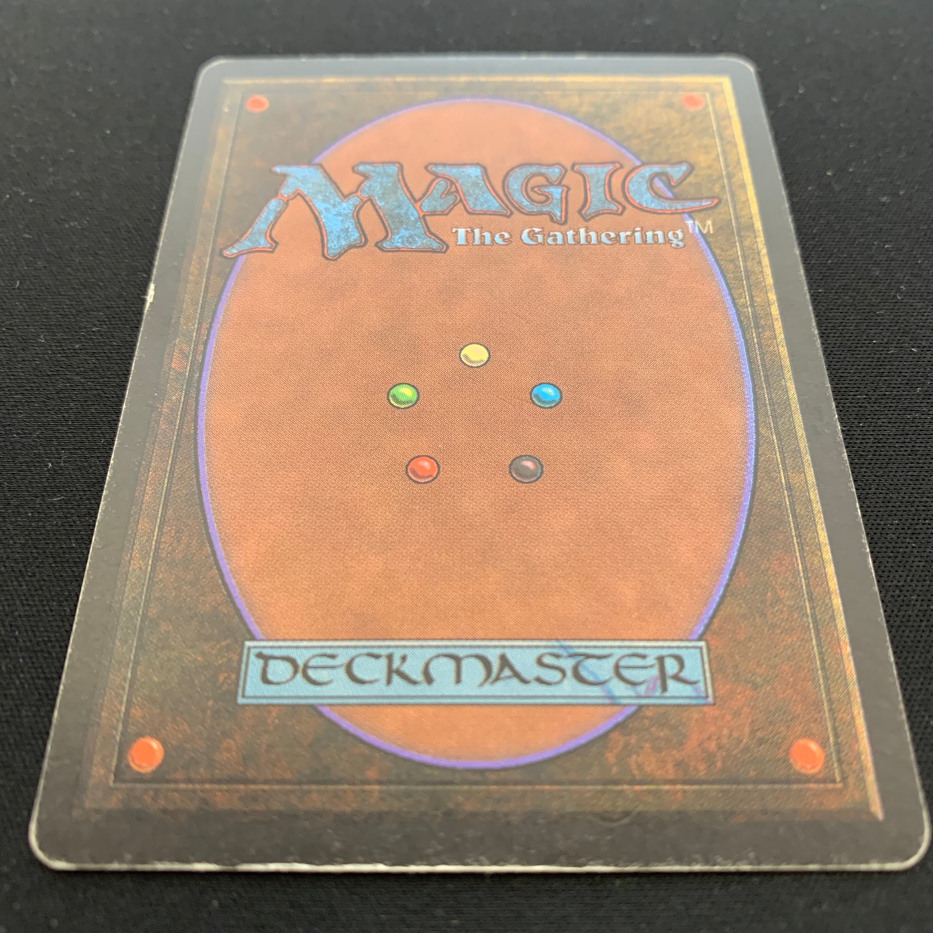 MTG Singles - Northern Paladin - Beta - 