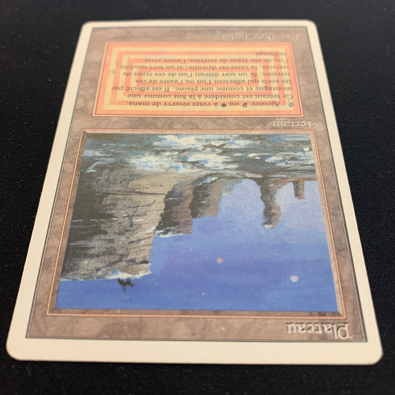 Magic the Gathering Plateau - Foreign White Bordered - French 