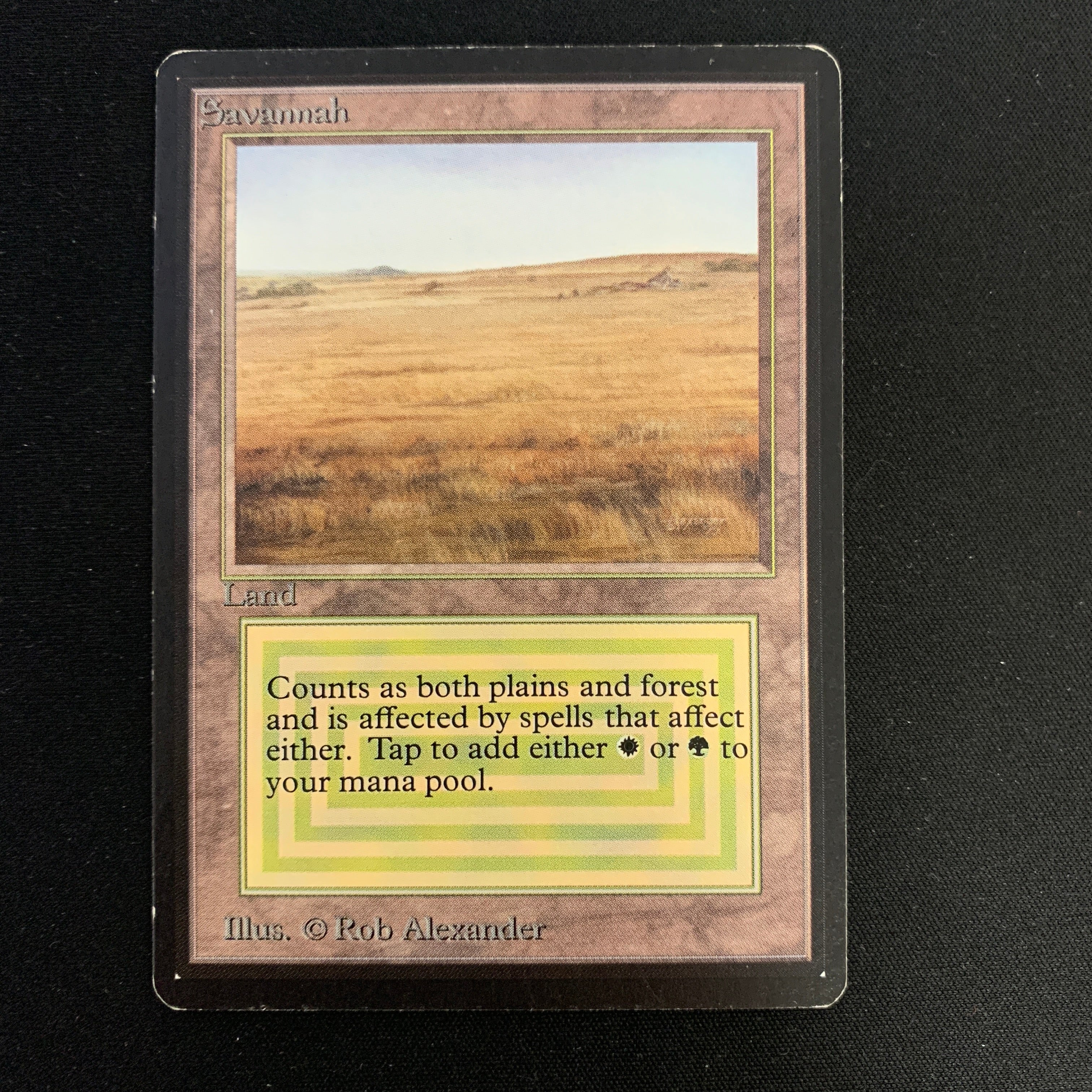 MTG Singles - Savannah - Beta - 