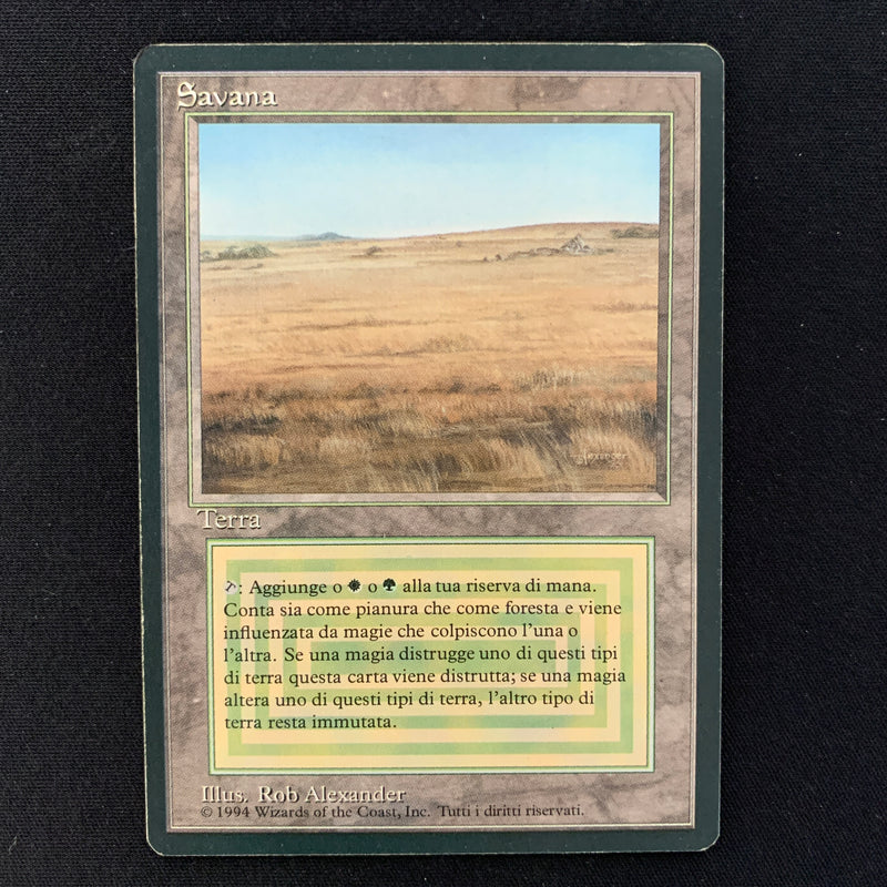 Magic the Gathering Savannah - Foreign Black Bordered - Italian 