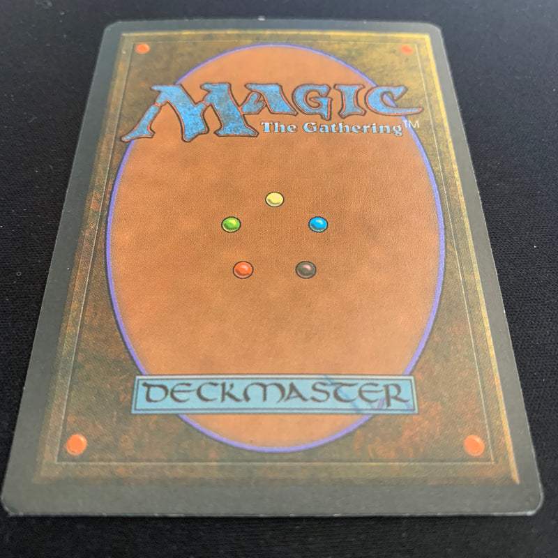 Magic the Gathering Savannah - Foreign White Bordered - German 