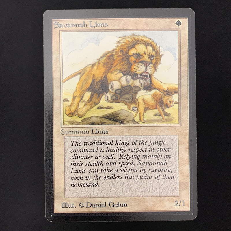 Magic the Gathering Savannah Lions - Beta 