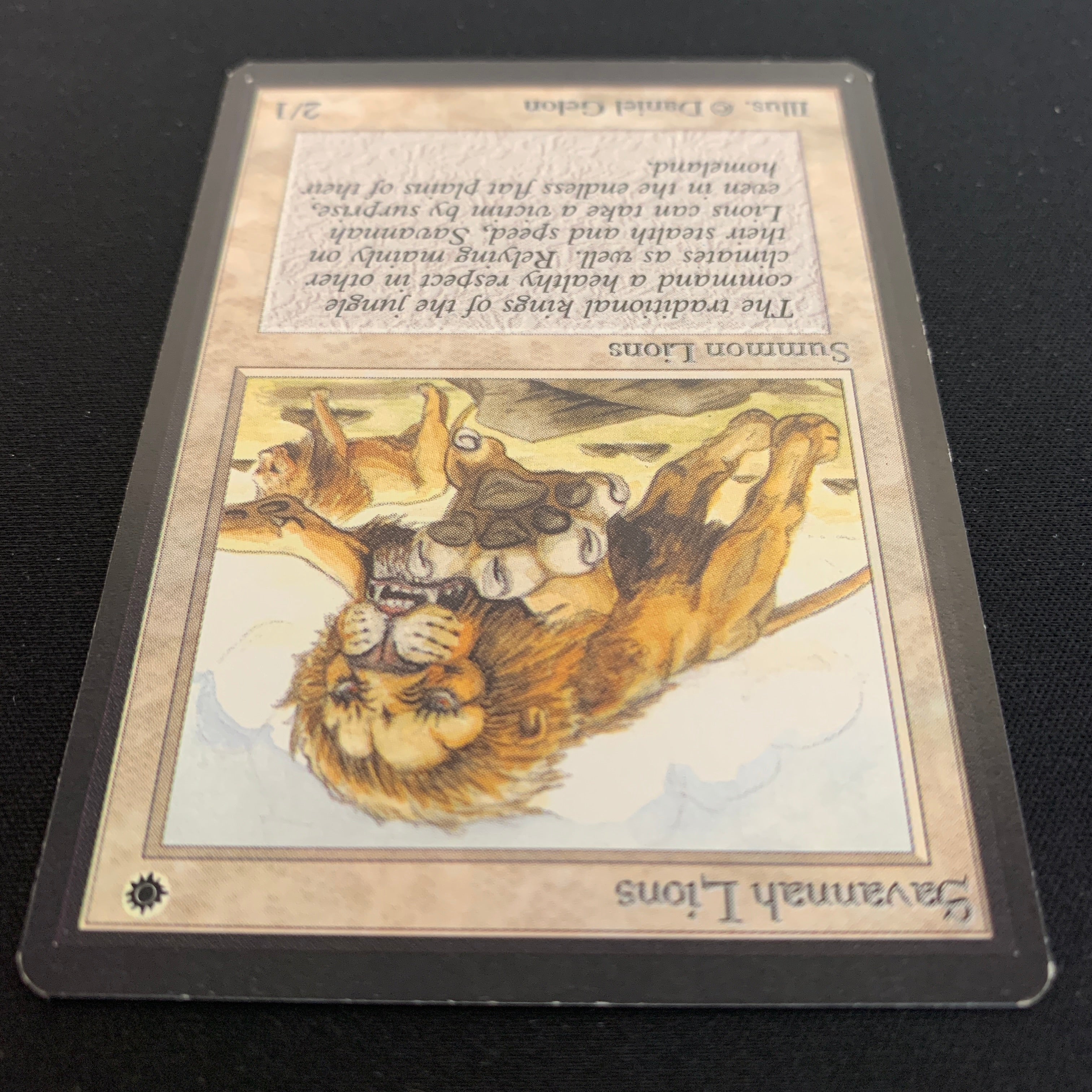 MTG Singles - Savannah Lions - Beta - 