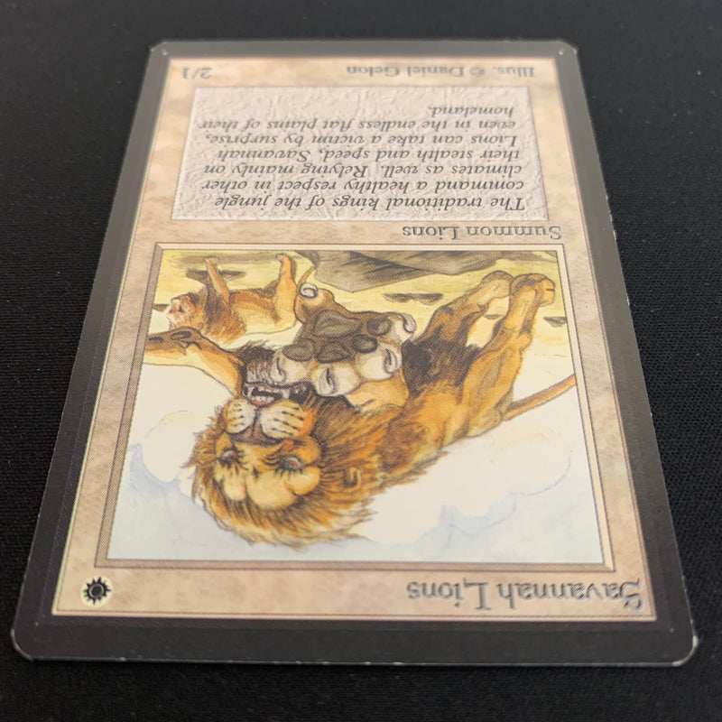 Magic the Gathering Savannah Lions - Beta 