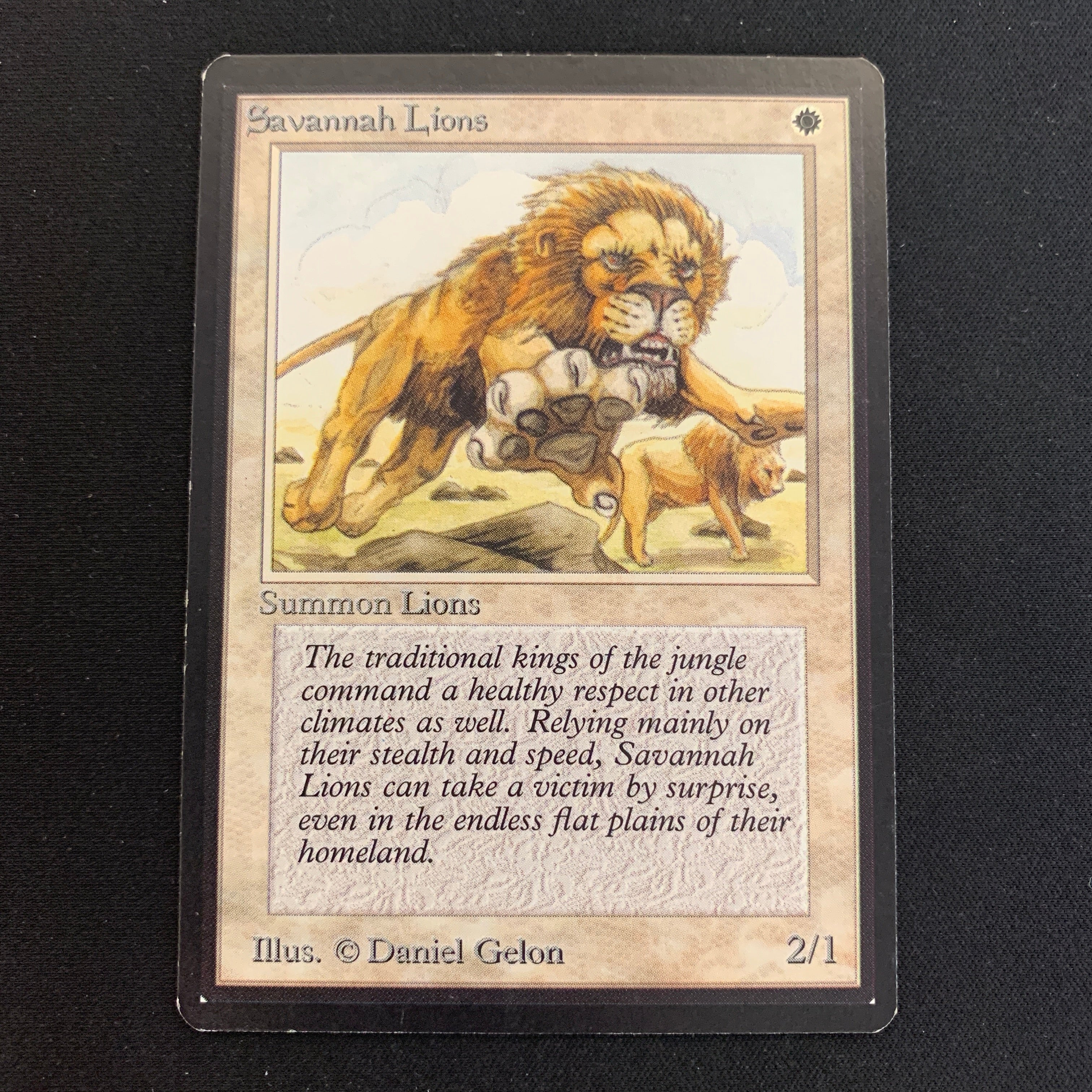 MTG Singles - Savannah Lions - Beta - 
