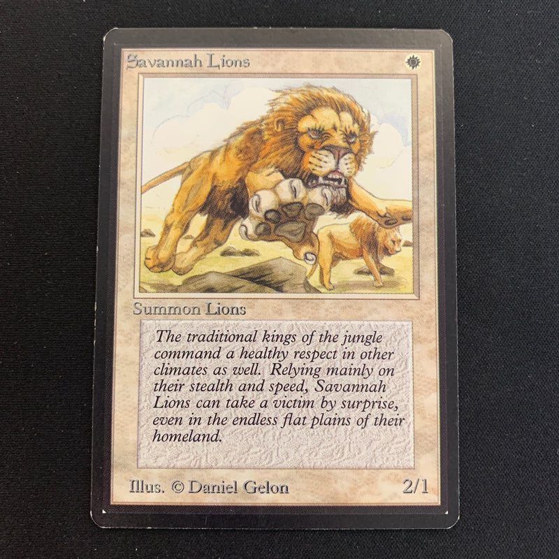 Magic the Gathering Savannah Lions - Beta 