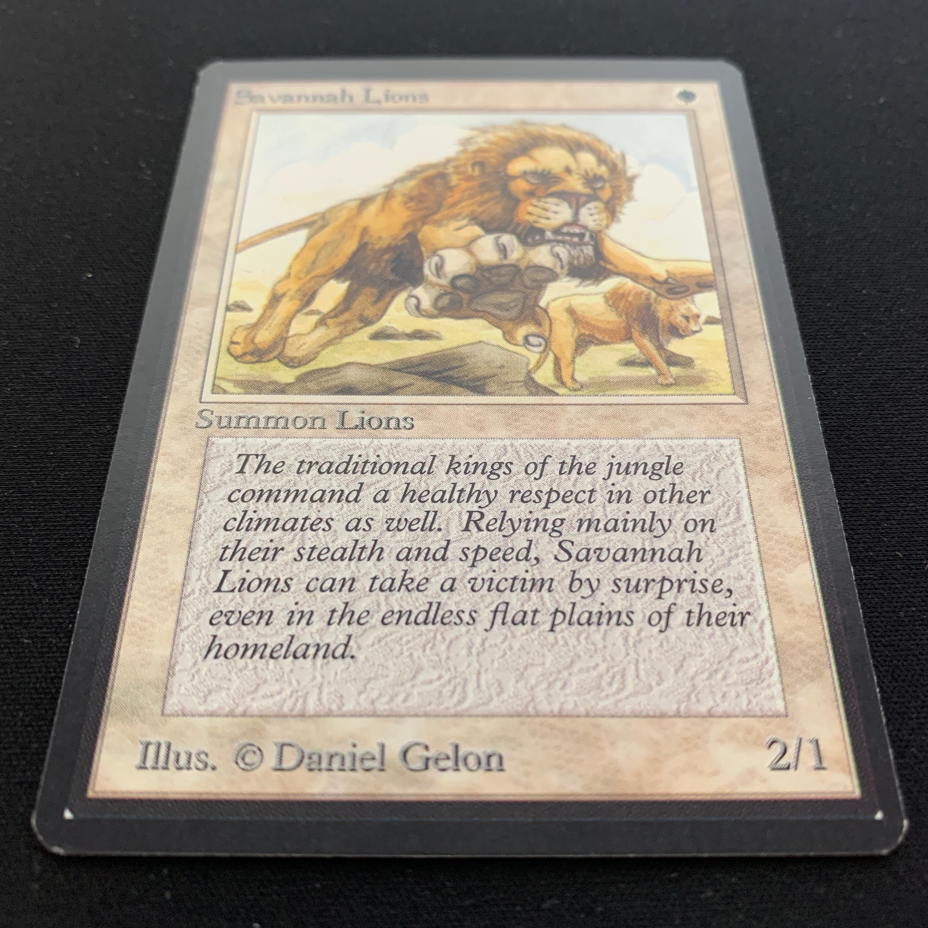 MTG Singles - Savannah Lions - Beta - 