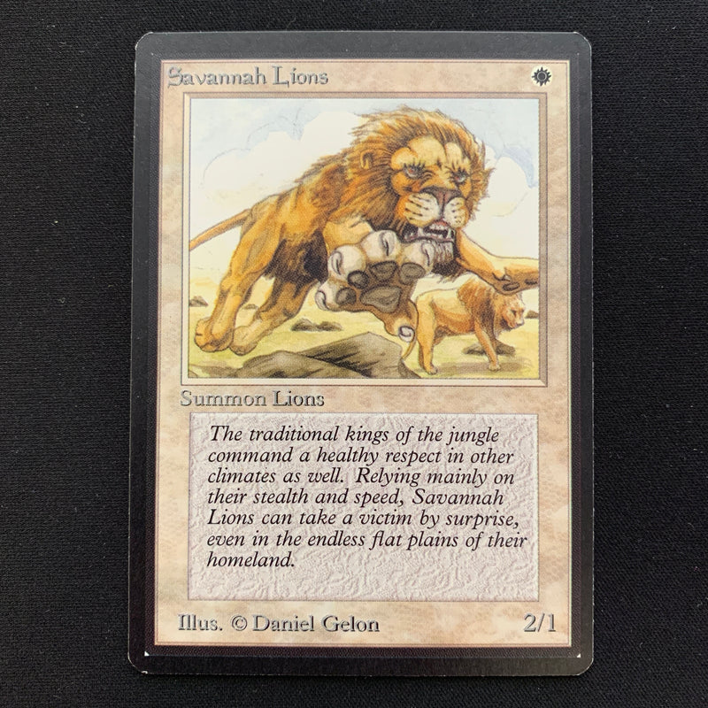 Magic the Gathering Savannah Lions - Beta 