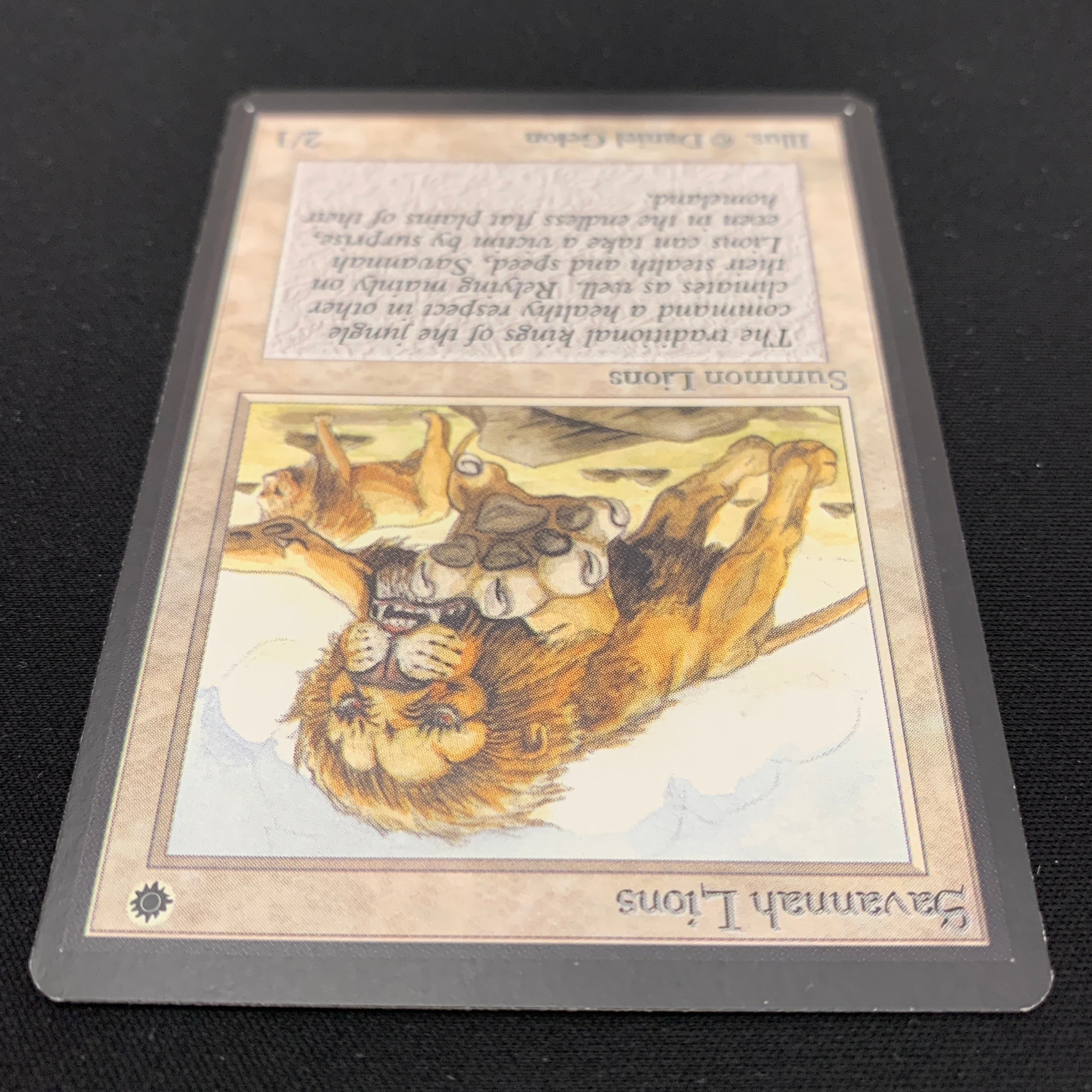 MTG Singles - Savannah Lions - Beta - 