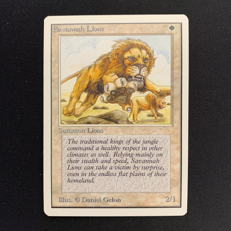 Magic the Gathering Savannah Lions - Unlimited 