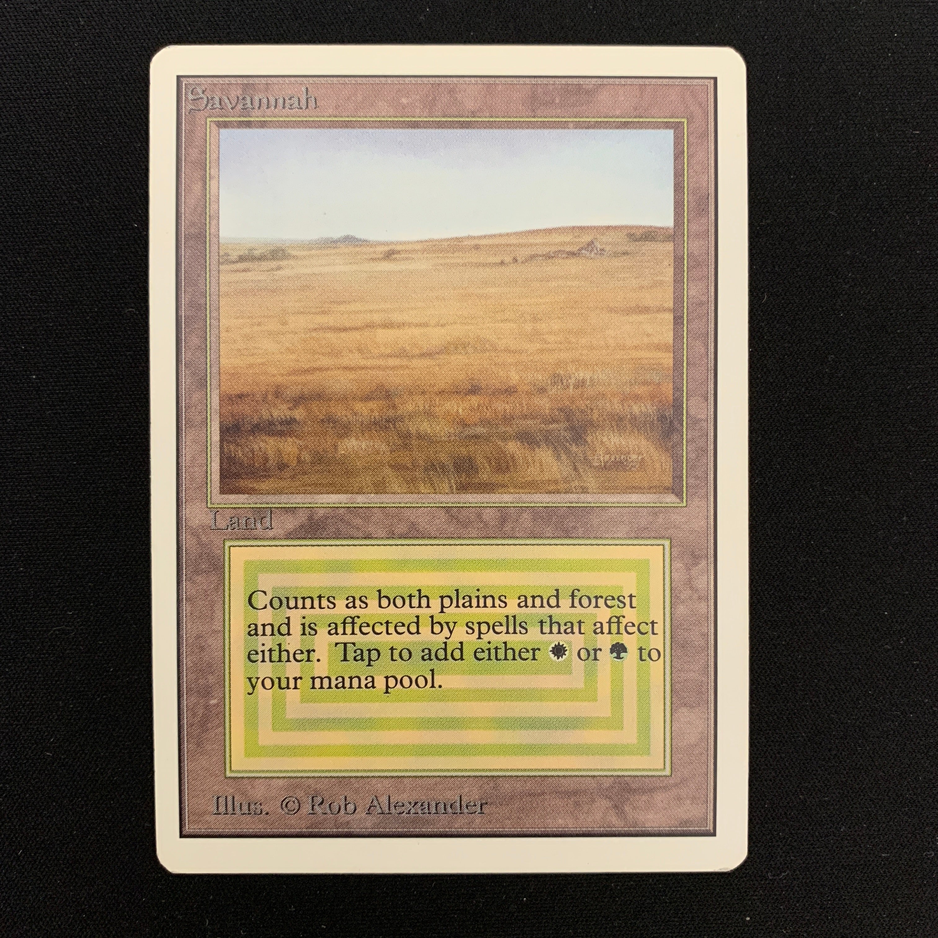 MTG Singles - Savannah - Unlimited - 