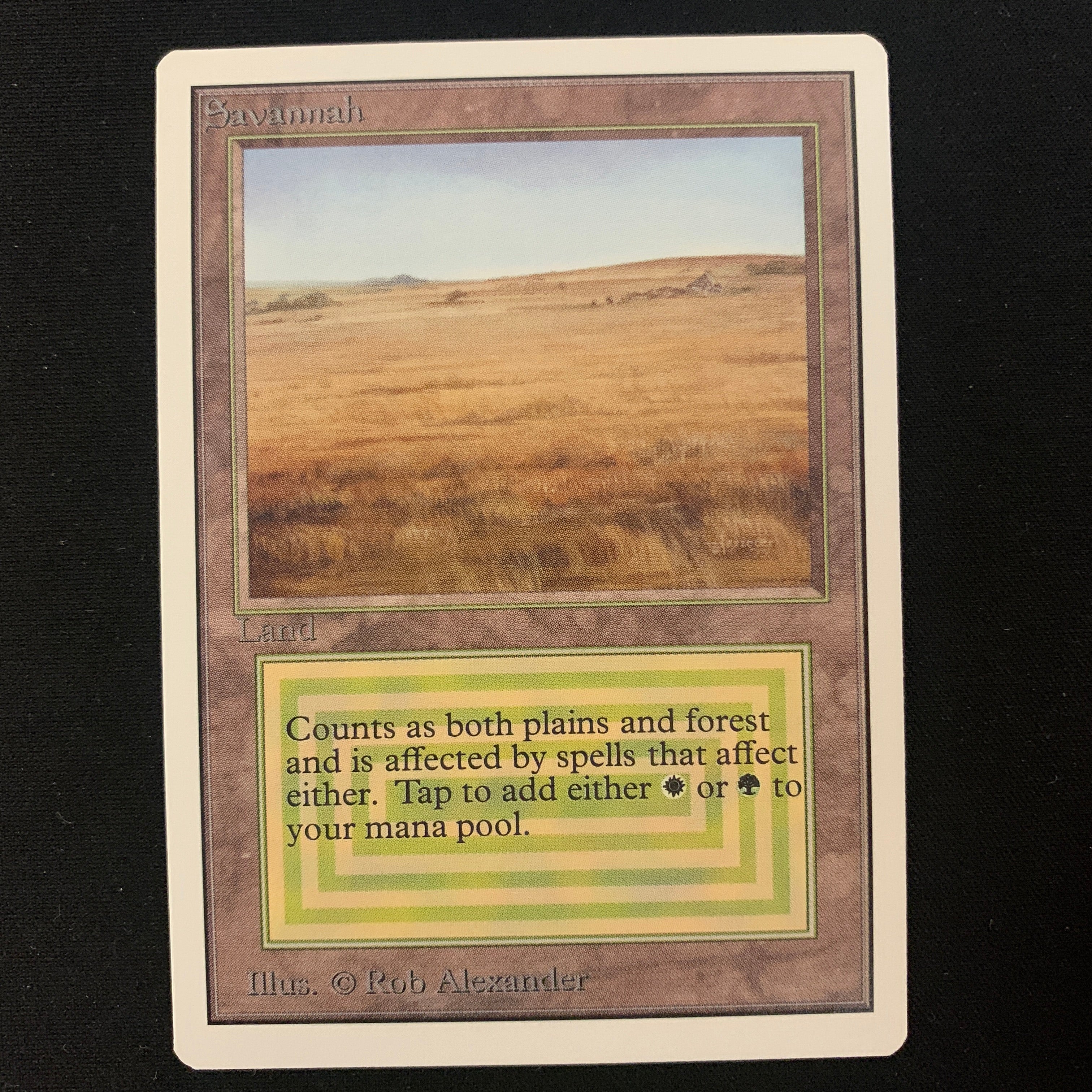 MTG Singles - Savannah - Unlimited - 