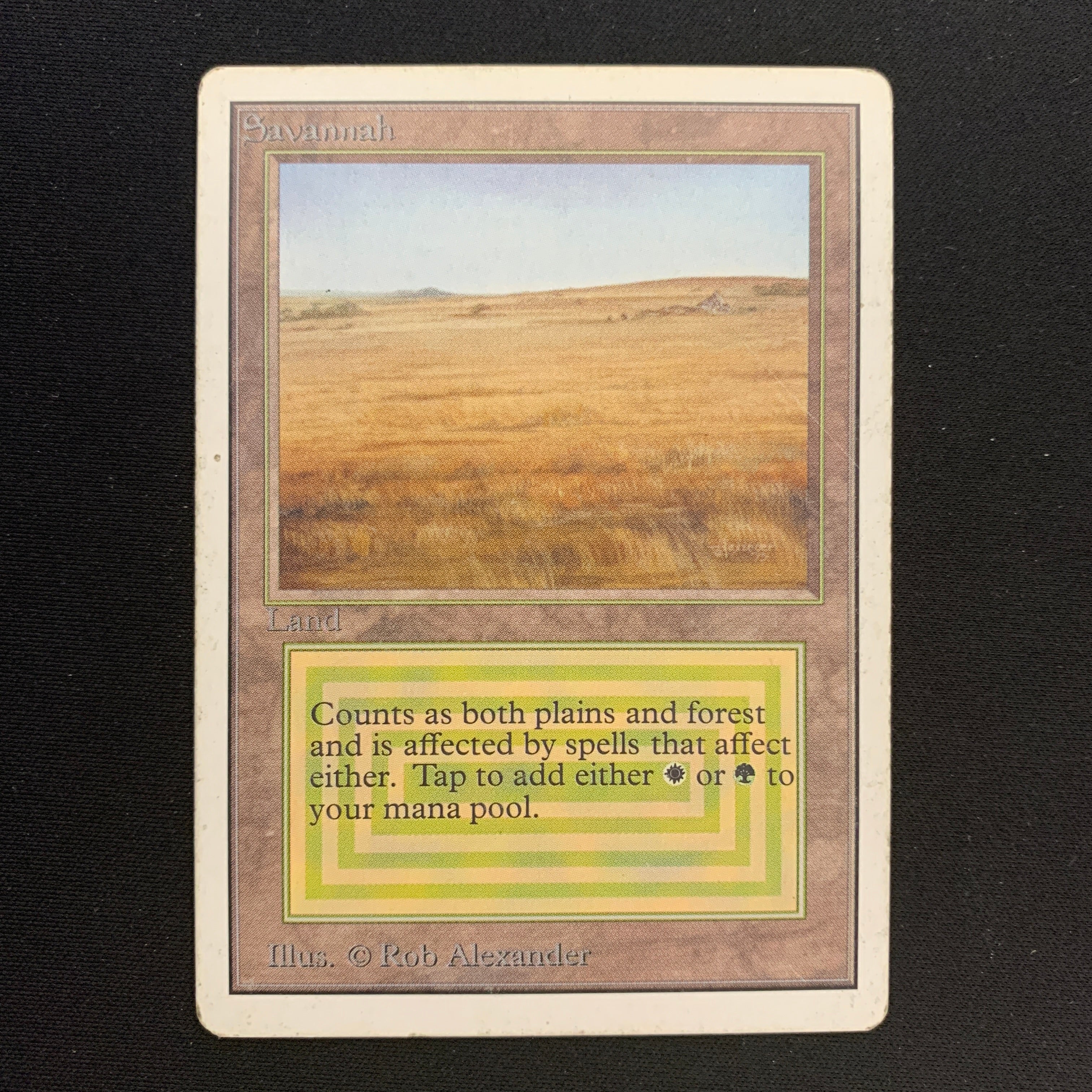MTG Singles - Savannah - Unlimited - 