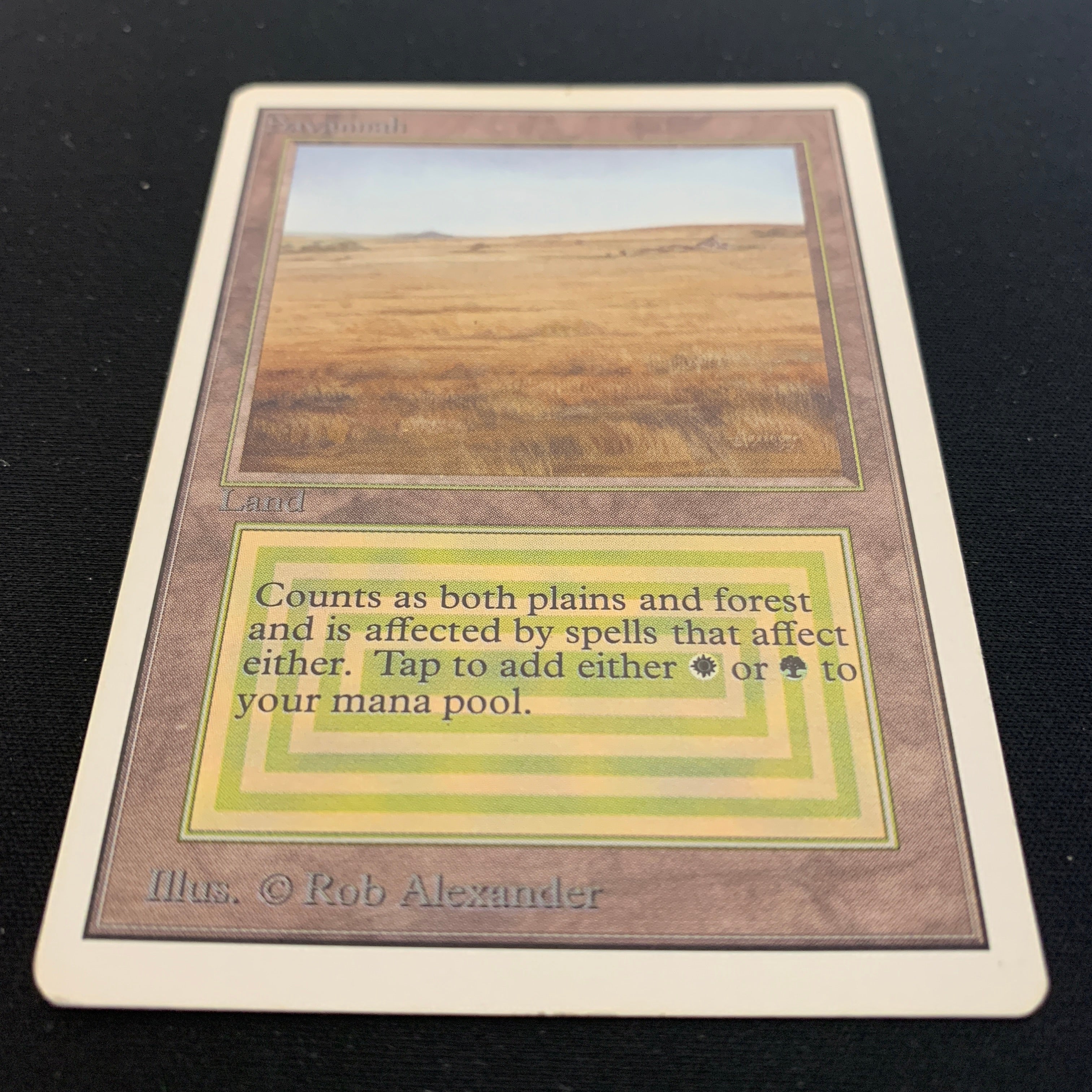 MTG Singles - Savannah - Unlimited - 