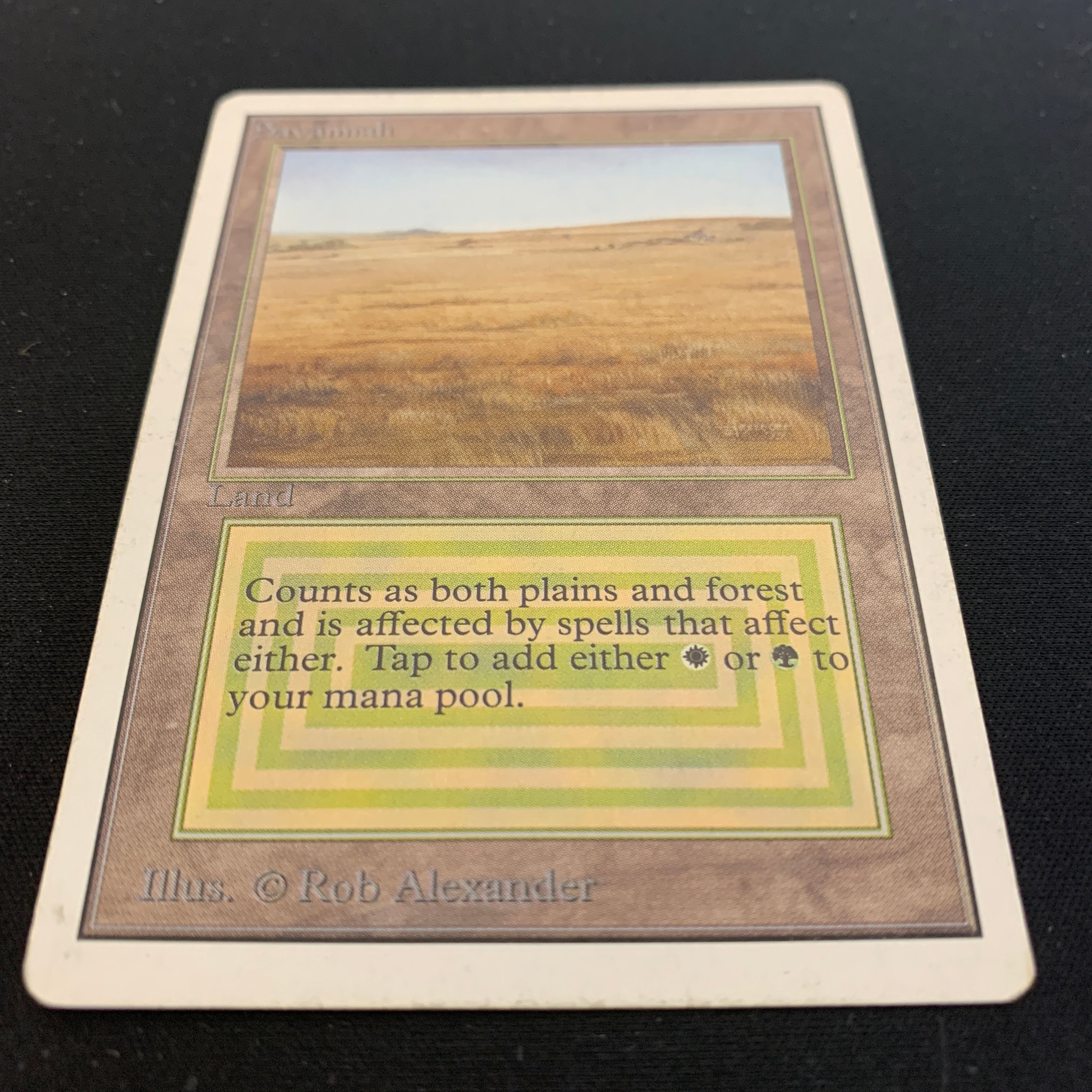 MTG Singles - Savannah - Unlimited - 