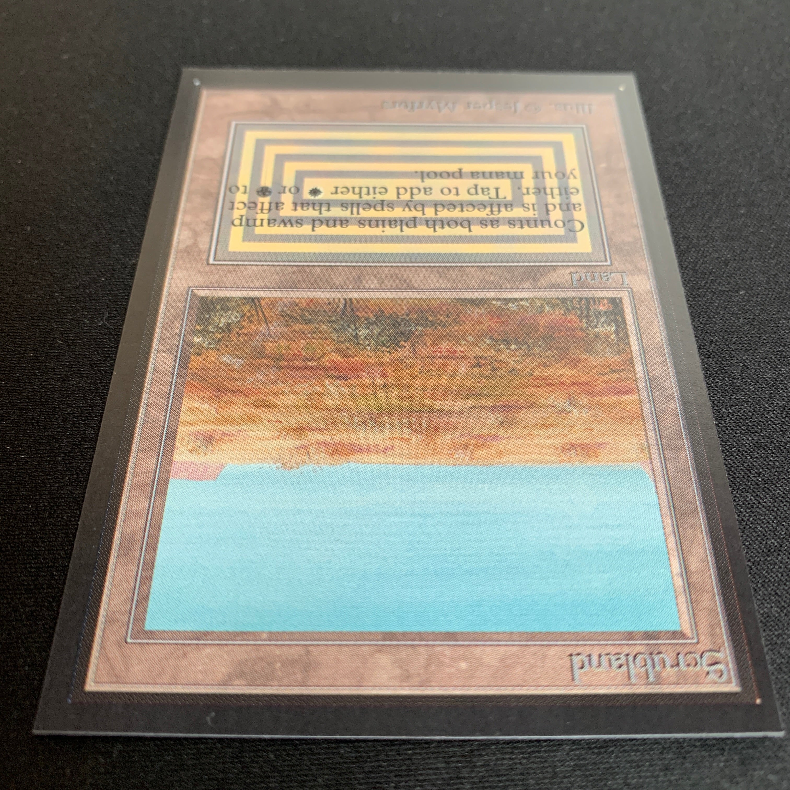 MTG Singles - Scrubland - Collectors' Edition - 