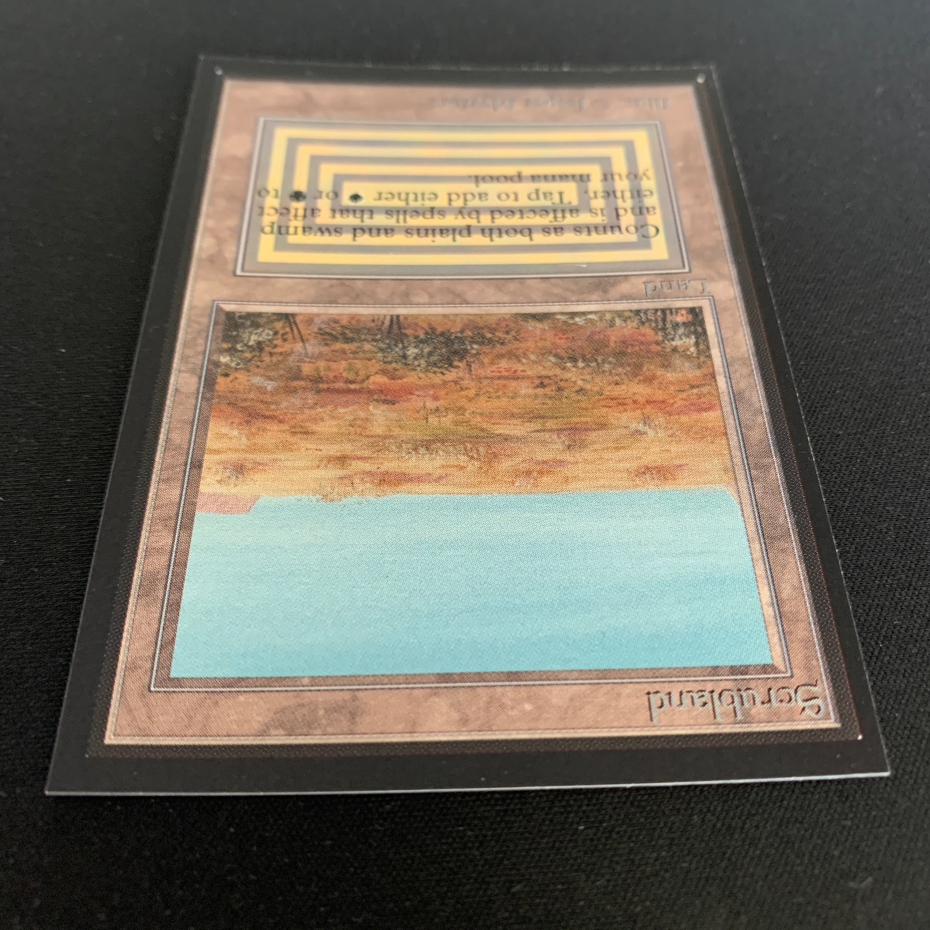 MTG Singles - Scrubland - Collectors' Edition - 