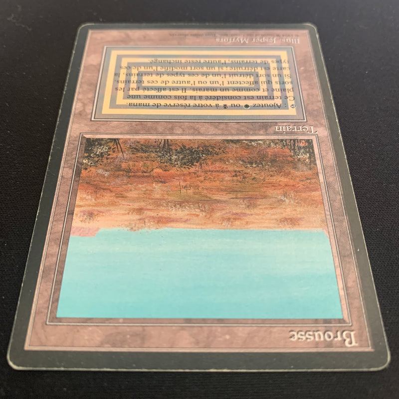 Magic the Gathering Scrubland - Foreign Black Bordered - French 