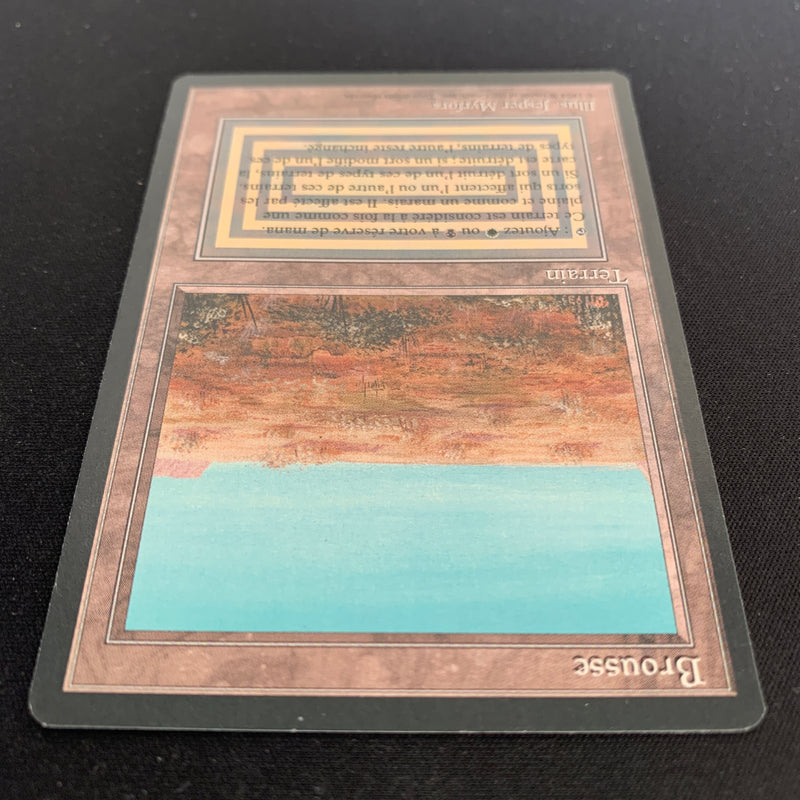 Magic the Gathering Scrubland - Foreign Black Bordered - French 