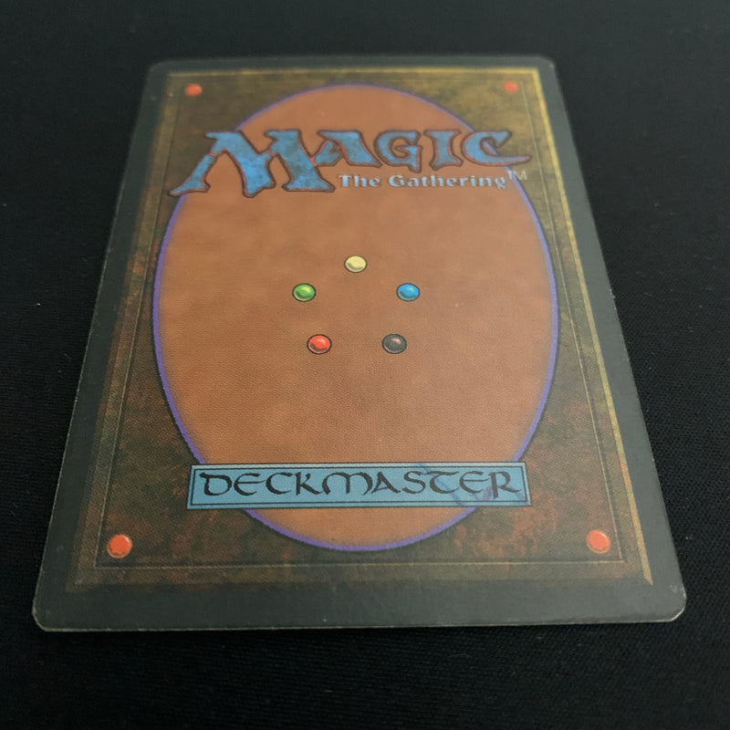 Magic the Gathering Scrubland - Foreign Black Bordered - German 