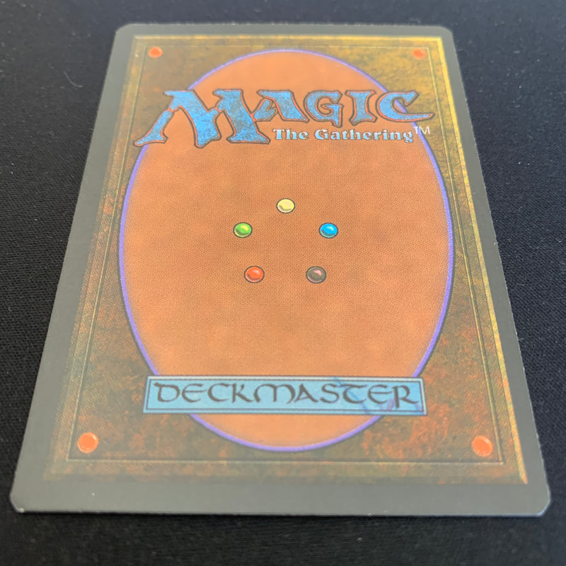 Magic the Gathering Scrubland - Foreign Black Bordered - German 