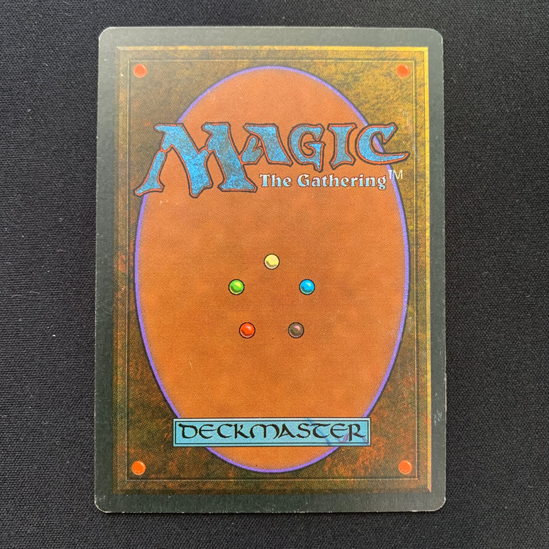 Magic the Gathering Scrubland - Foreign Black Bordered - Italian 