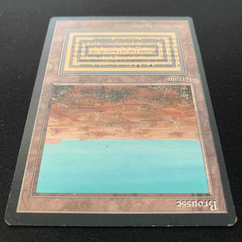 Magic the Gathering Scrubland - Foreign Black Bordered - Italian 