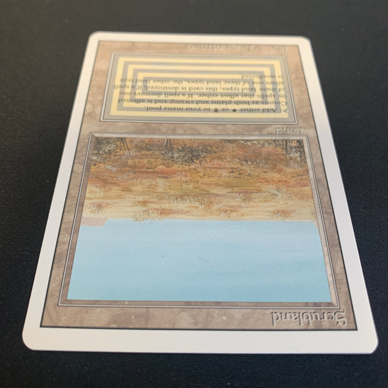 Magic the Gathering Scrubland - Revised 